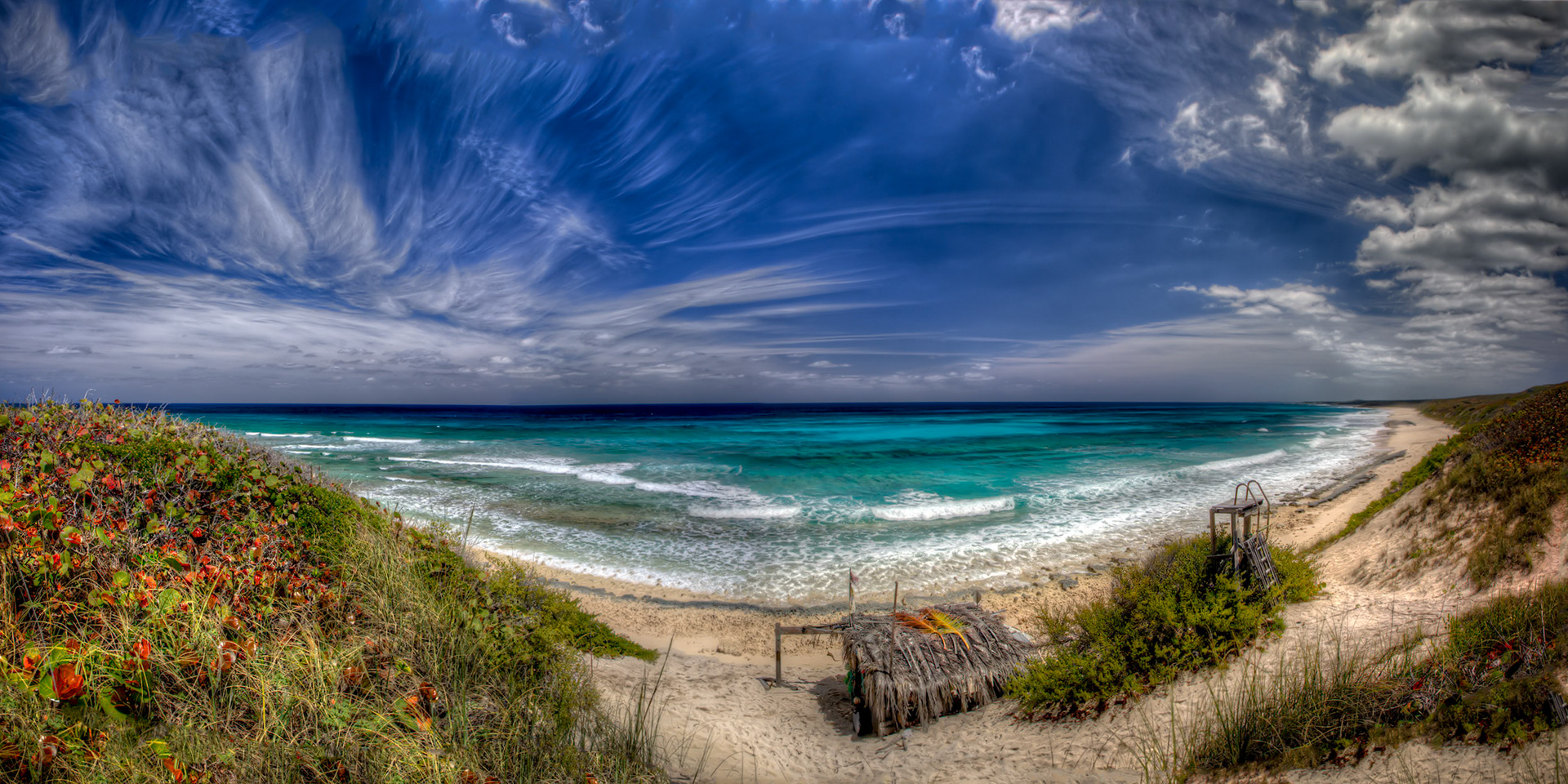 Path Down to the Beach 006