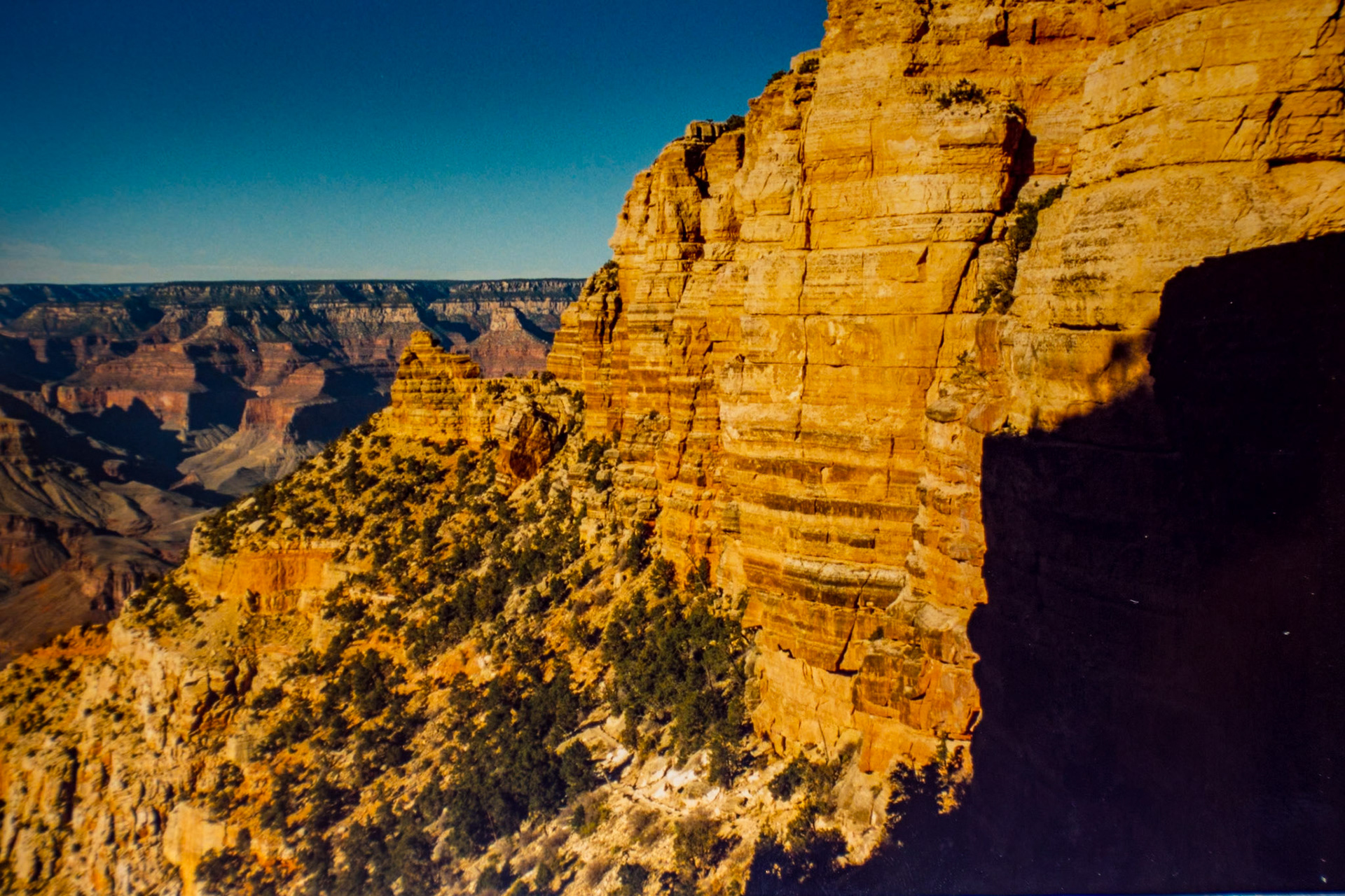 Sunlit Inner Canyon Strata