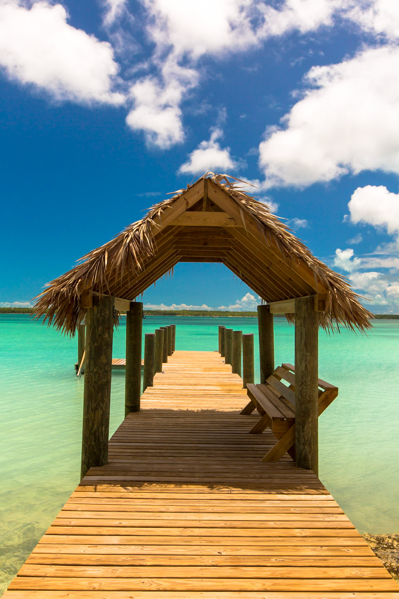 Thatched Dock - 8078