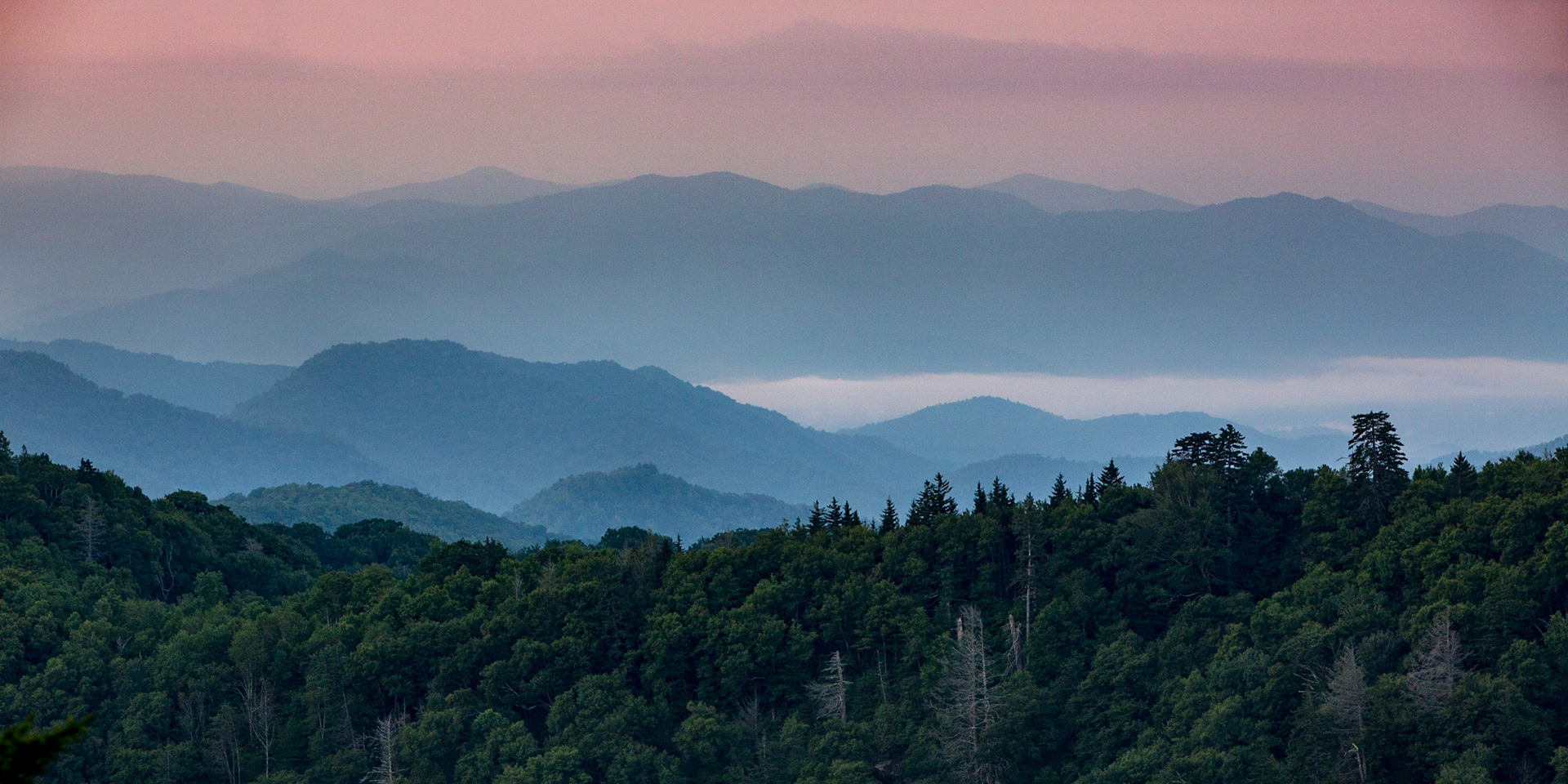 Fog Over Blue Ridges - 2801