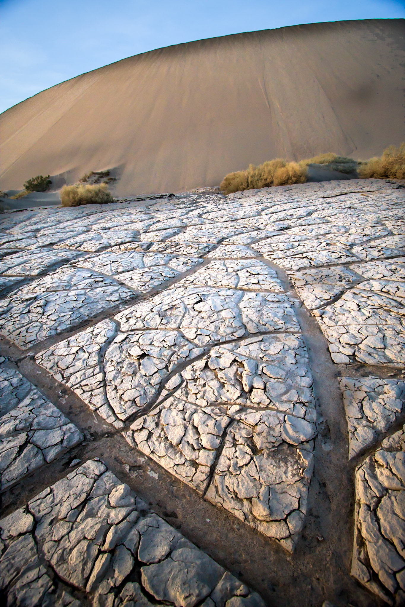 Cracked Playa at Mesquite