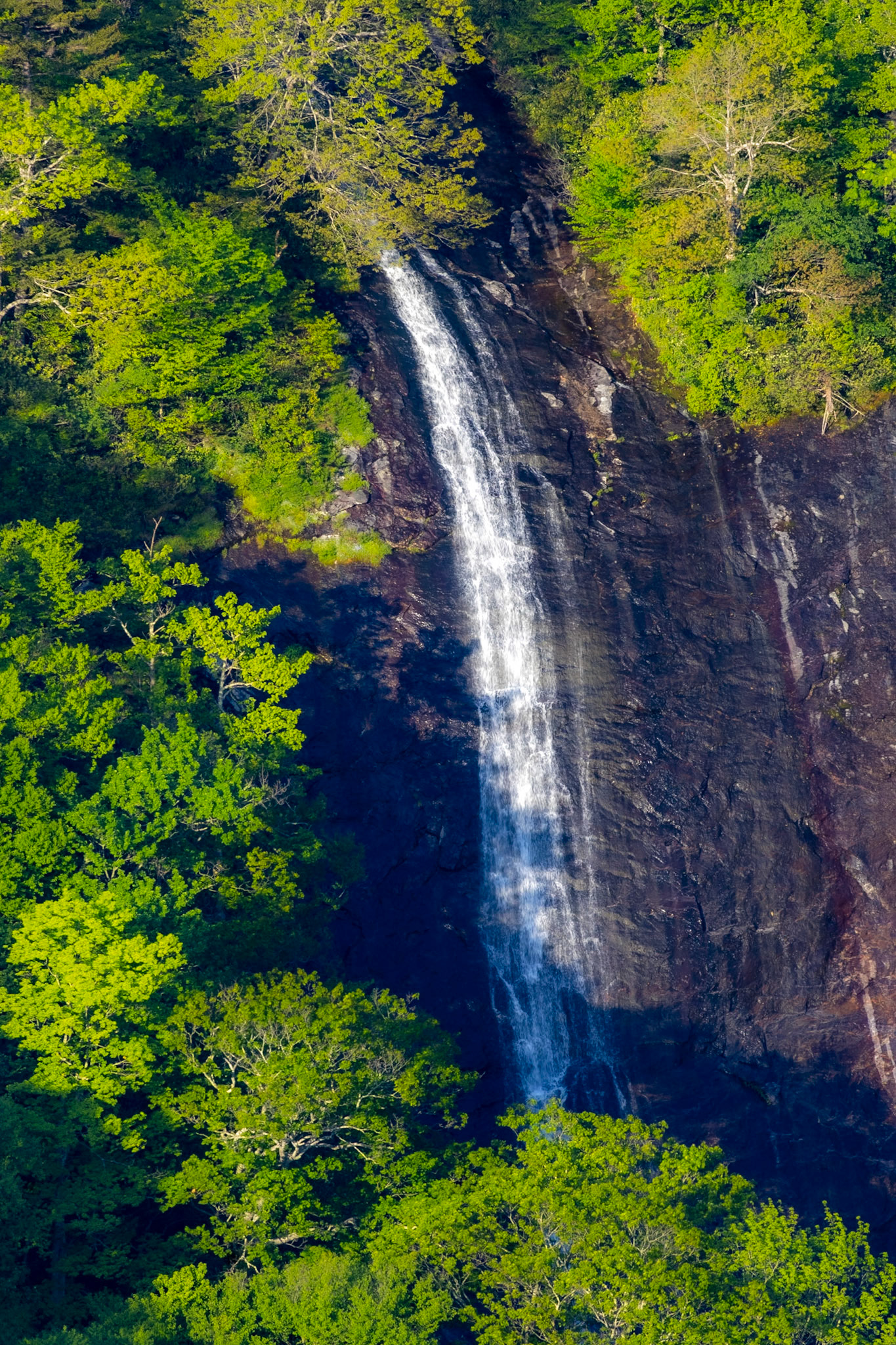 Glassmine Falls - 8359