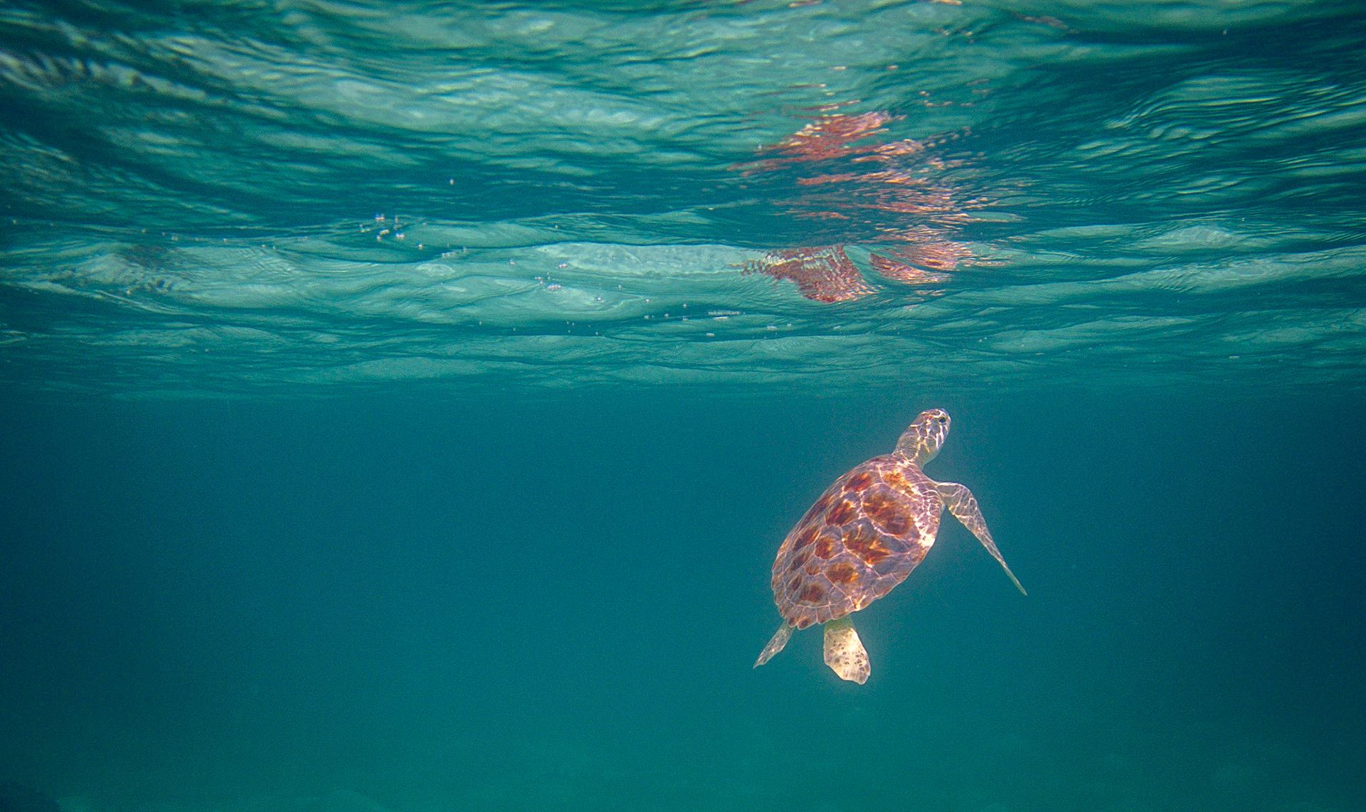 Other Eleuthera-237