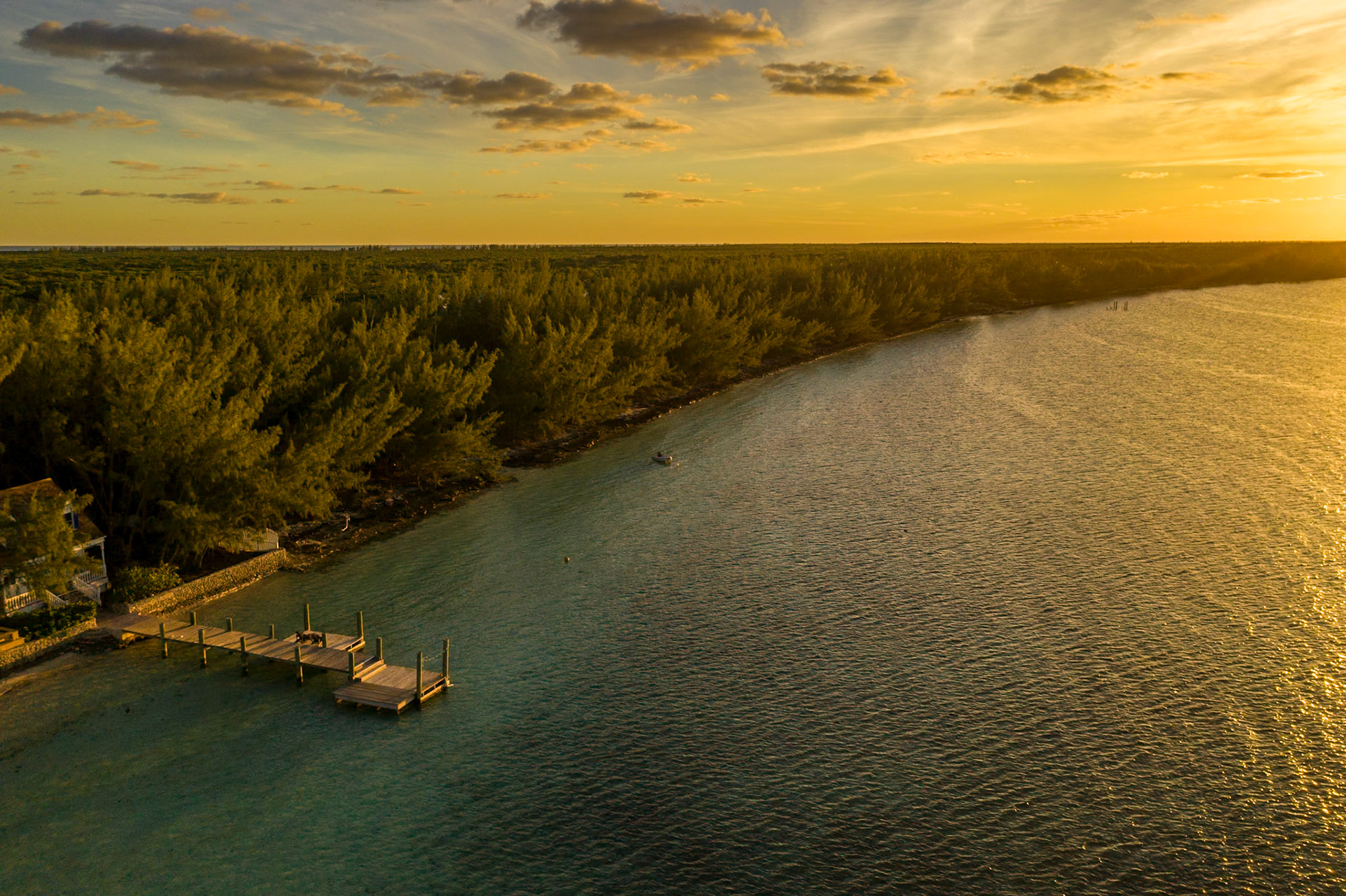 Harbour Dock from Above - 0563
