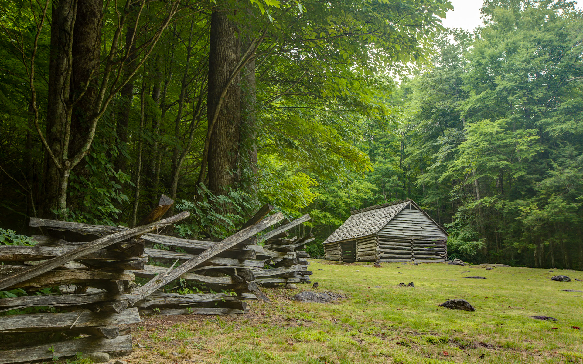 Cabin and Split-Rail Fence - 2826