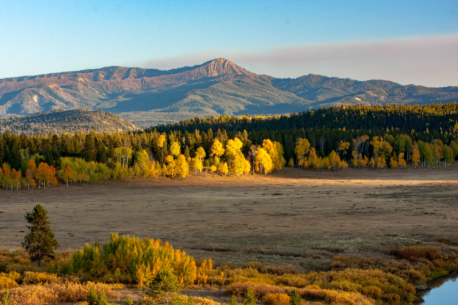Autumn Meadow and Peaks