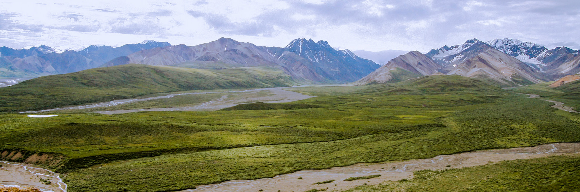 Braided River Across Tundra Valley - 2236