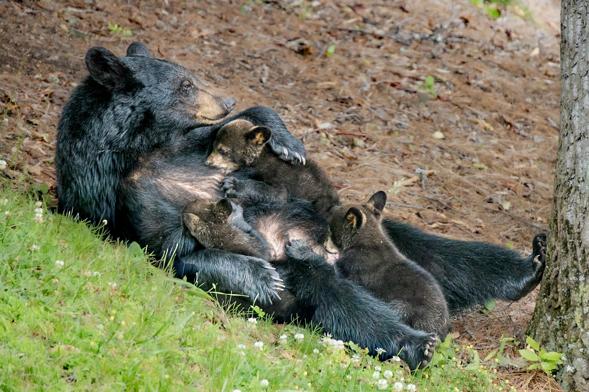 Feeding Time