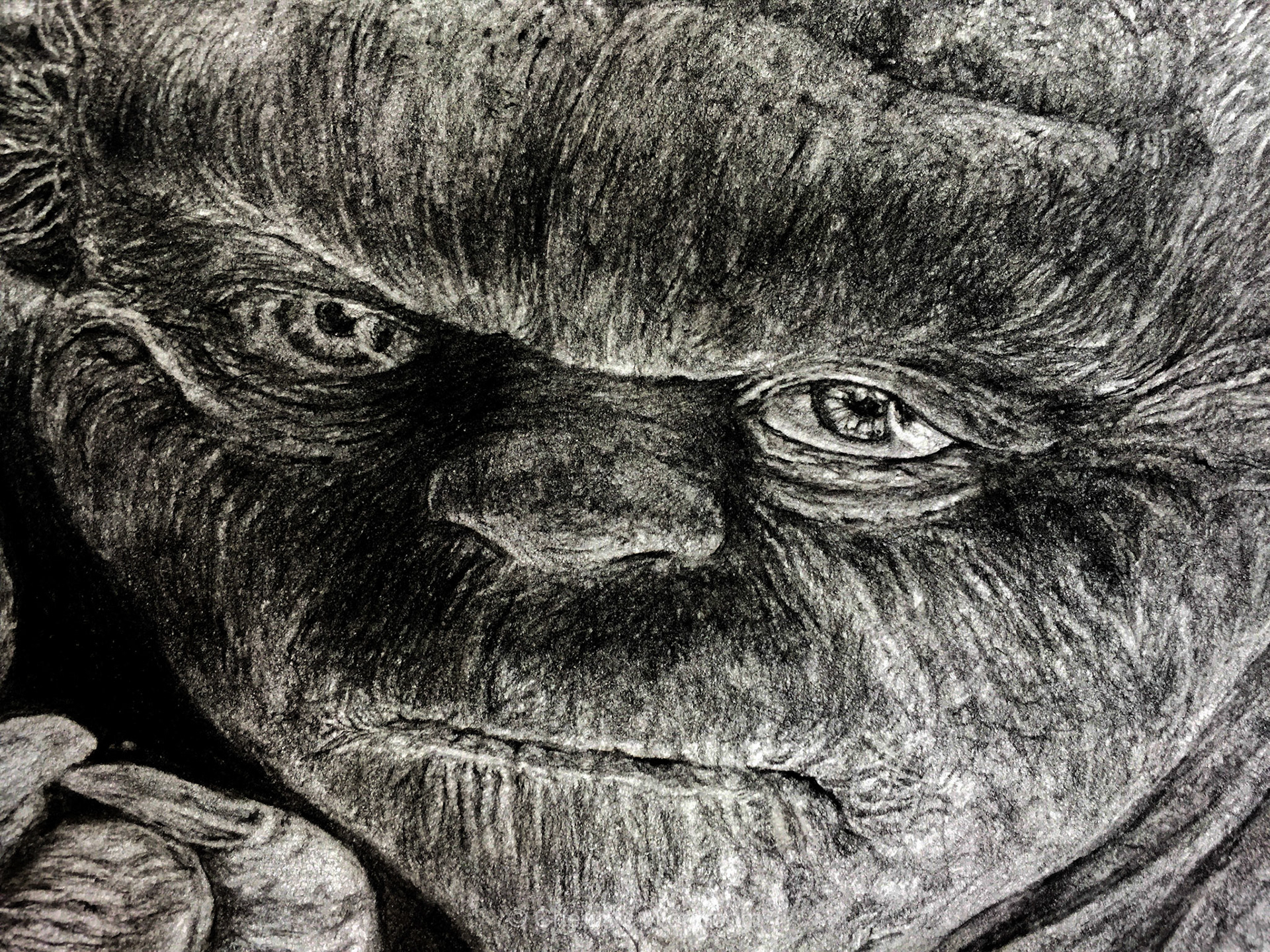 By Araine T-Jay