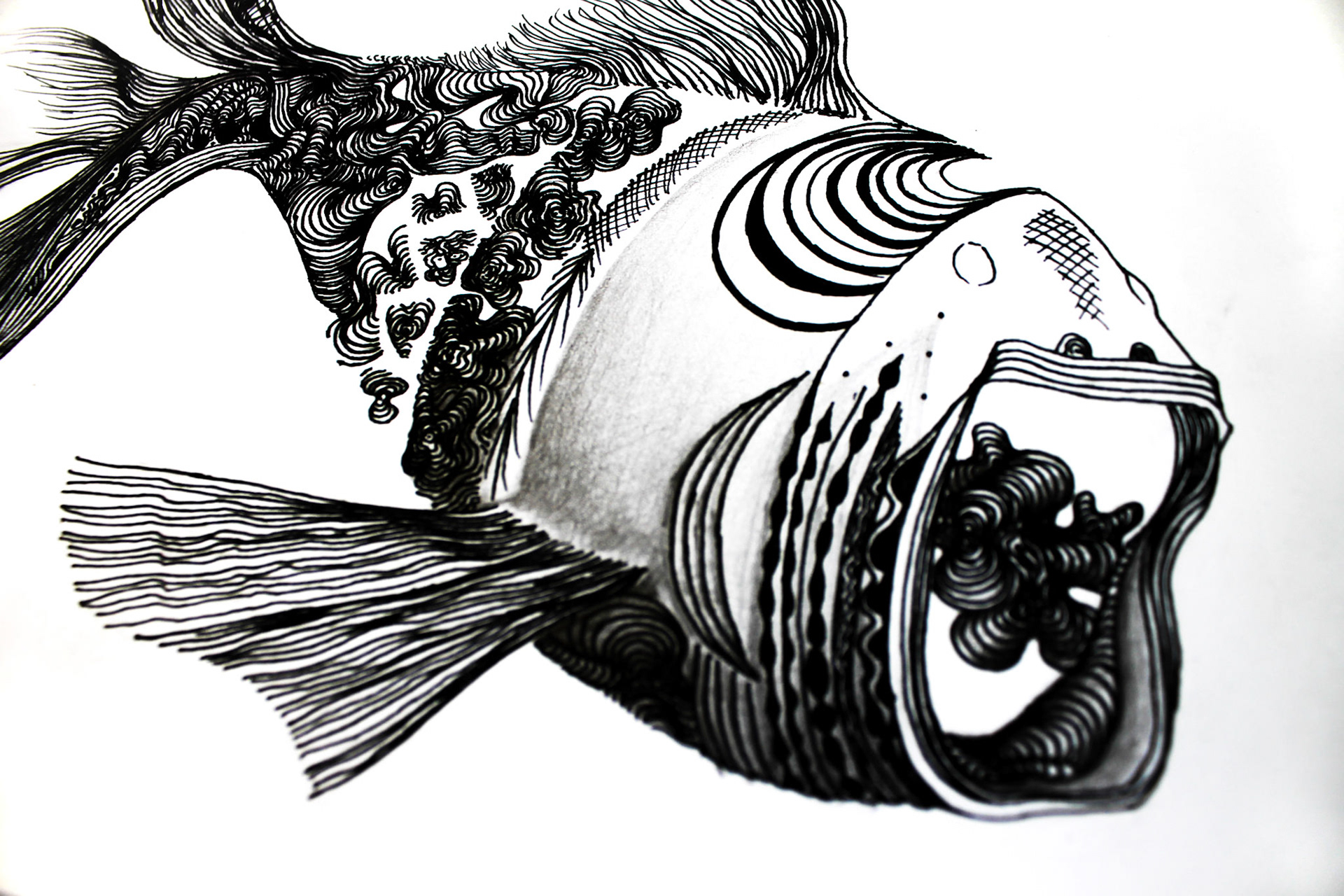 By Araine T-Jay