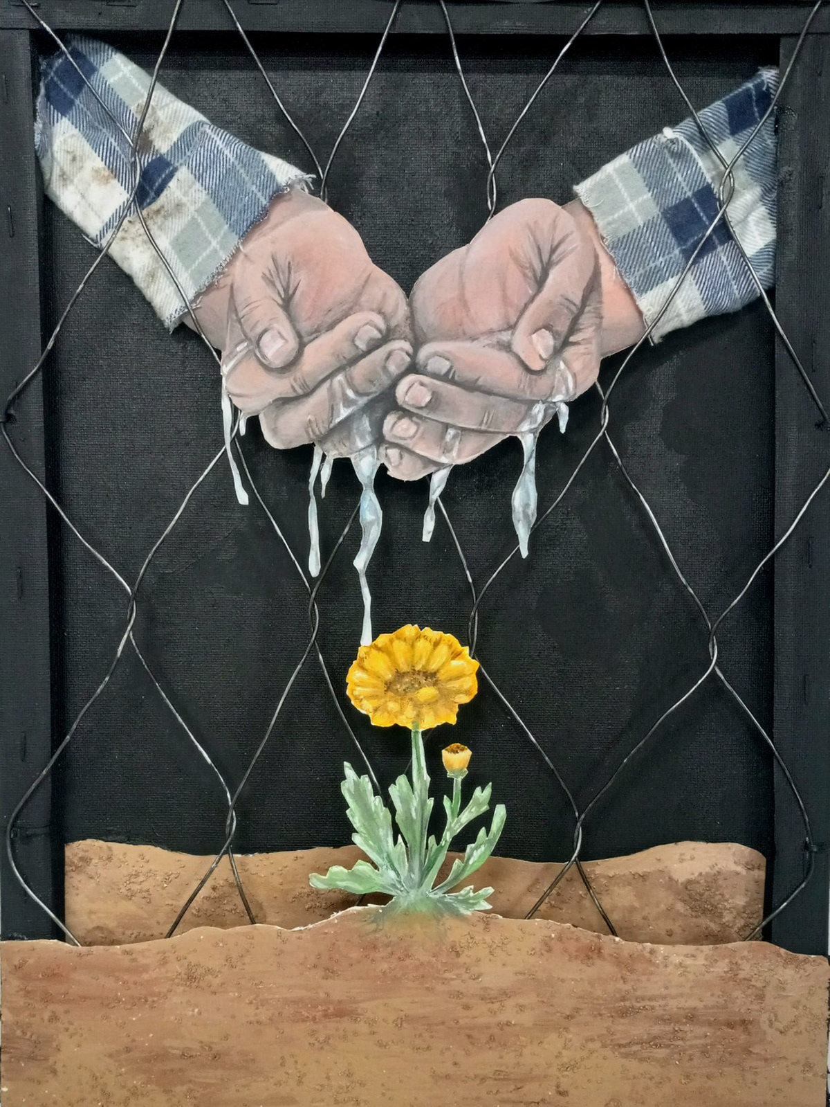 Watering Opportunities