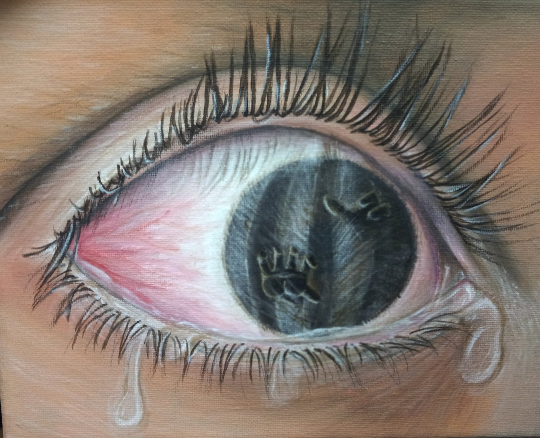 Through an Immigrat's Eye