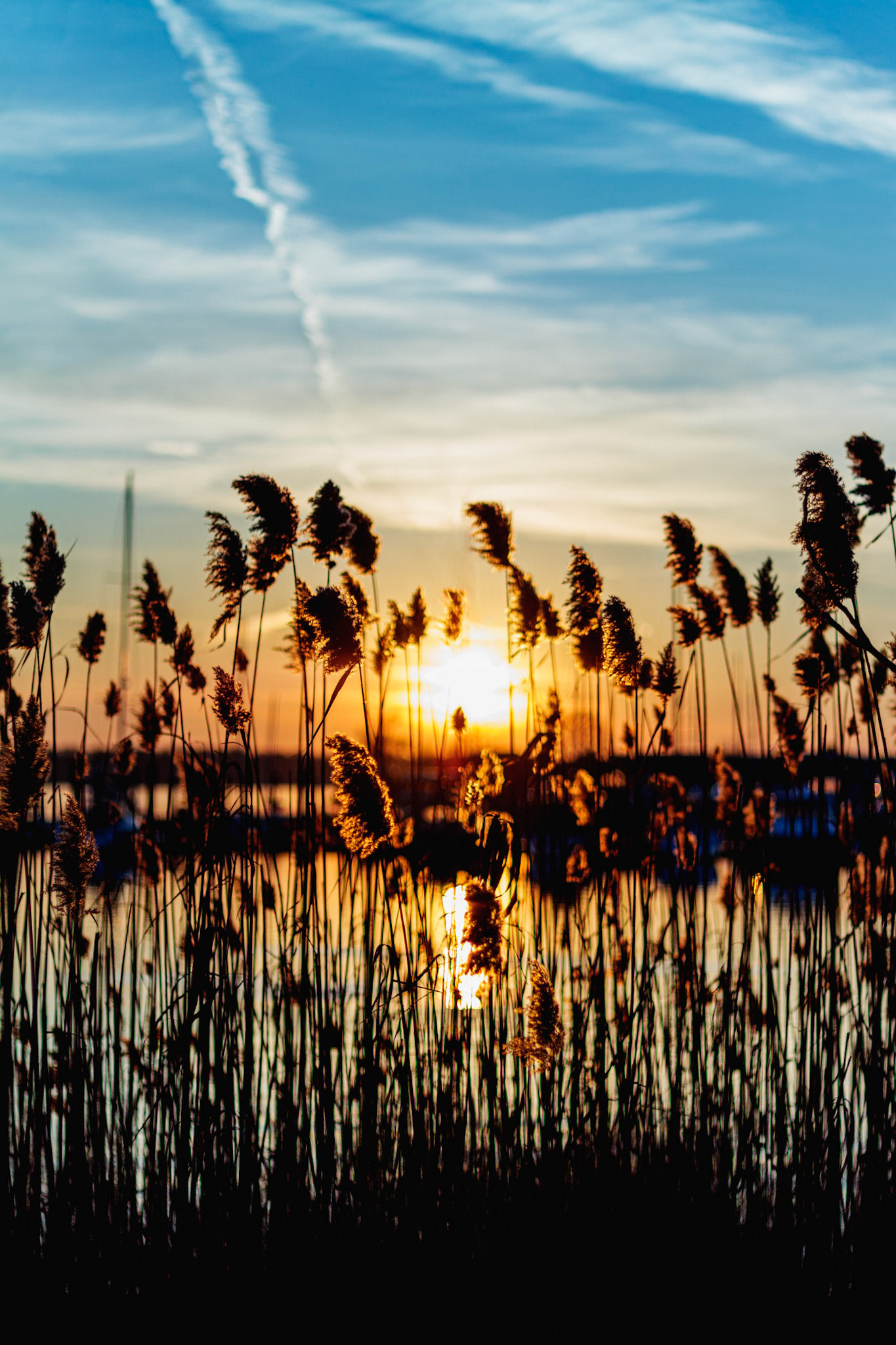 PW Sunset