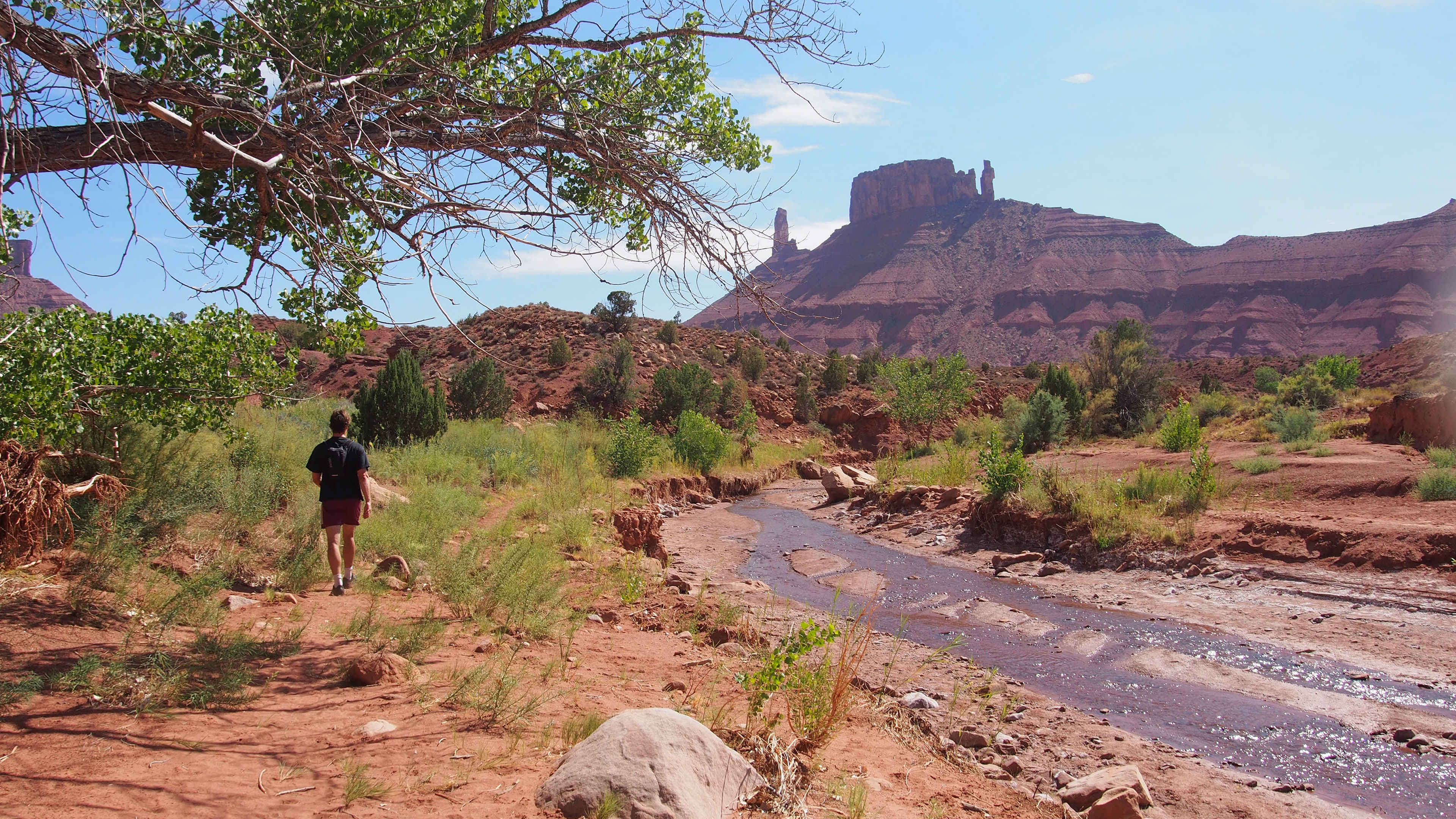 Mary Jane Canyon, Moab Utah, 2025