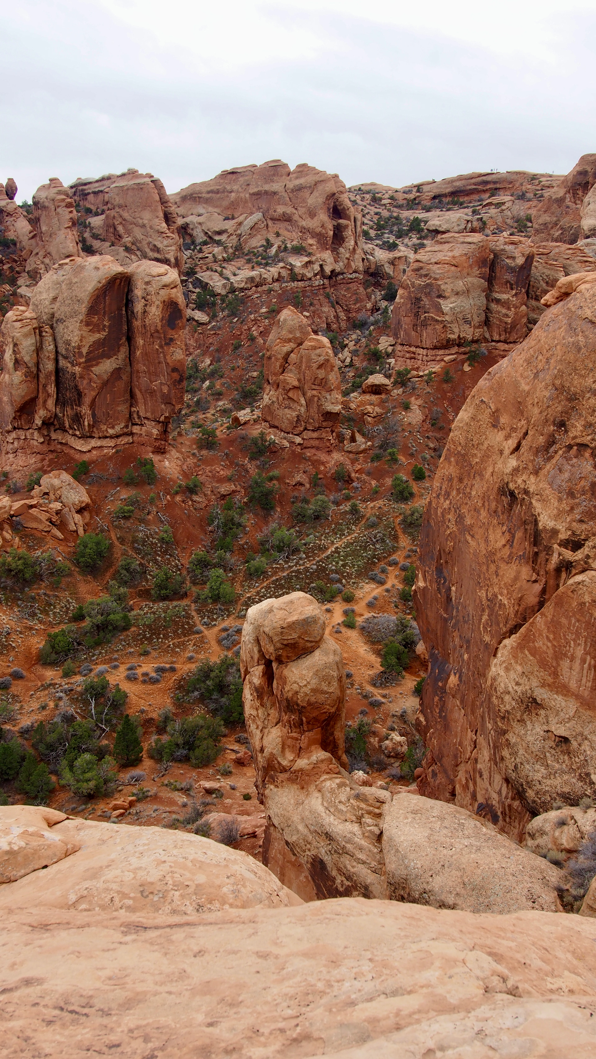 Mary Jane Canyon, Moab Utah, 2025