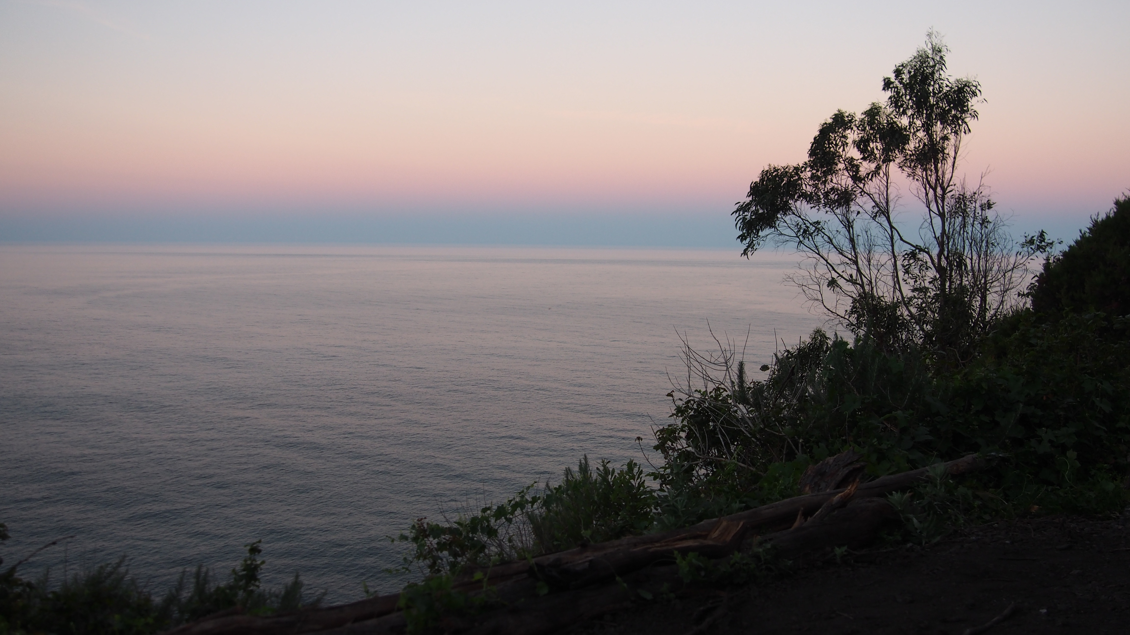 Big Sur, 2026