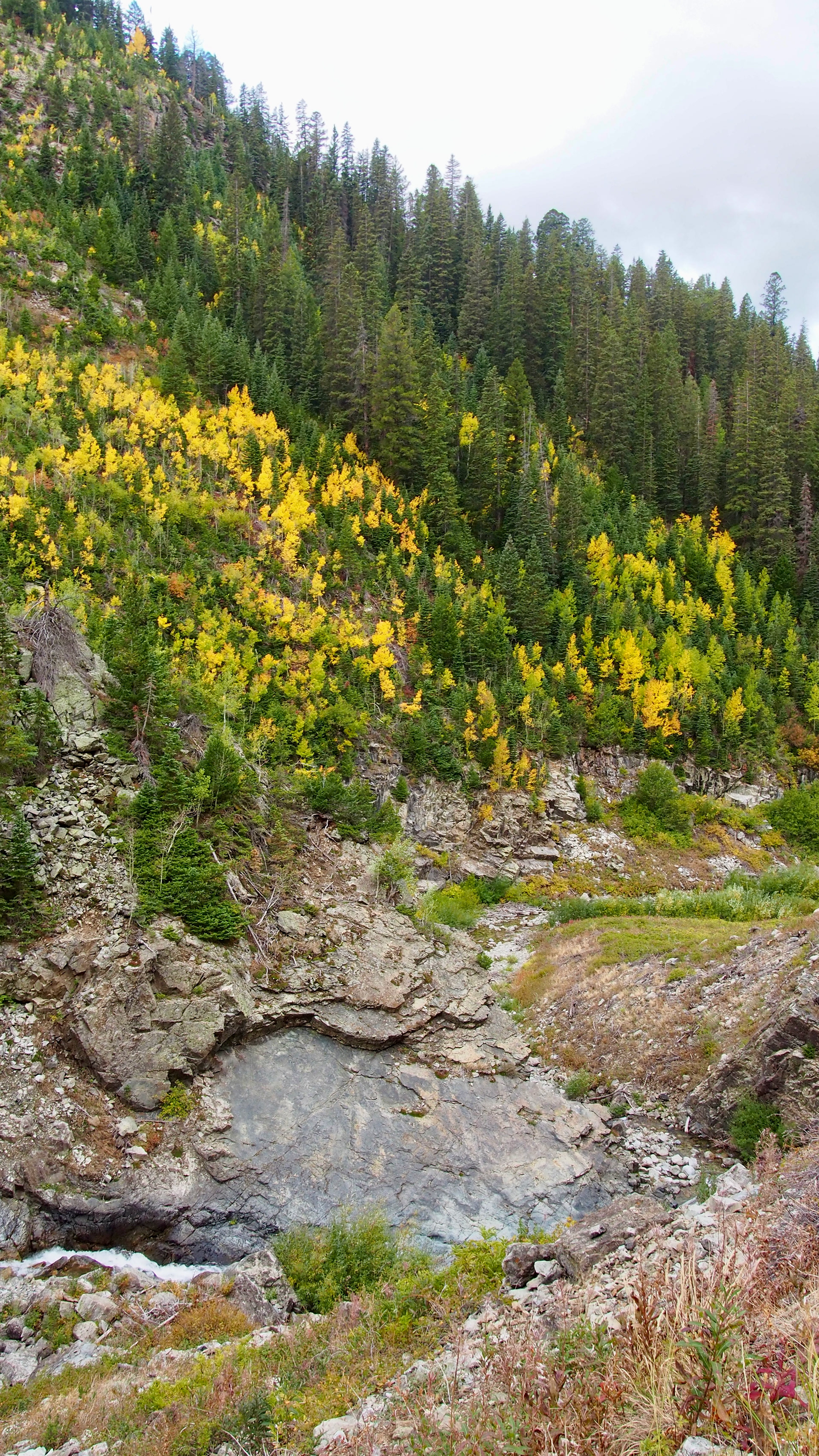 Schofield Pass, Colorado, 2026