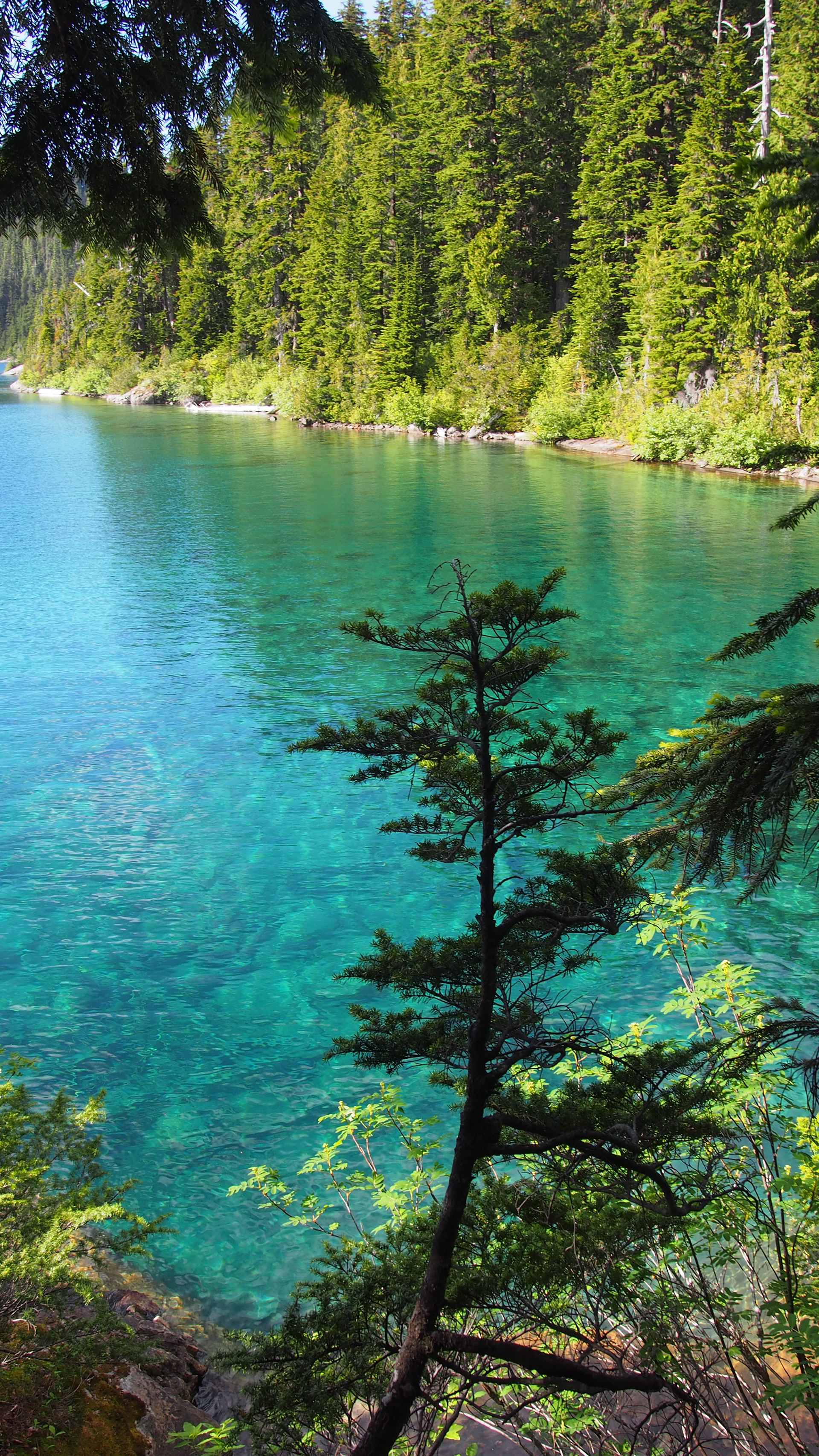 Marmot Lake, Washington, 2025