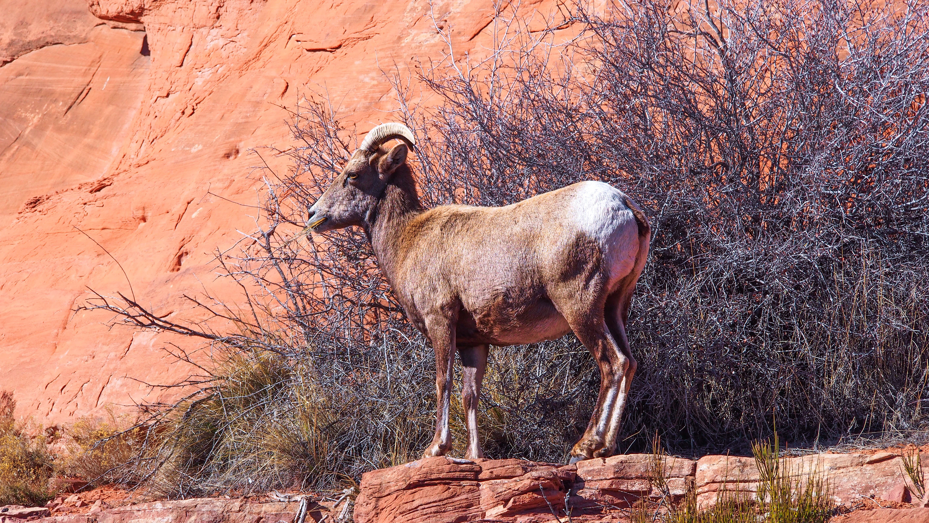 Colorado National Monument, 2025