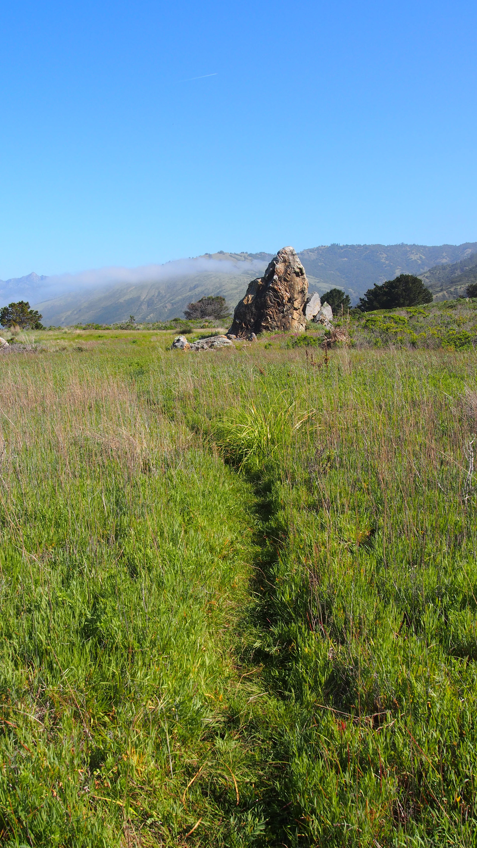 Big Sur, 2025