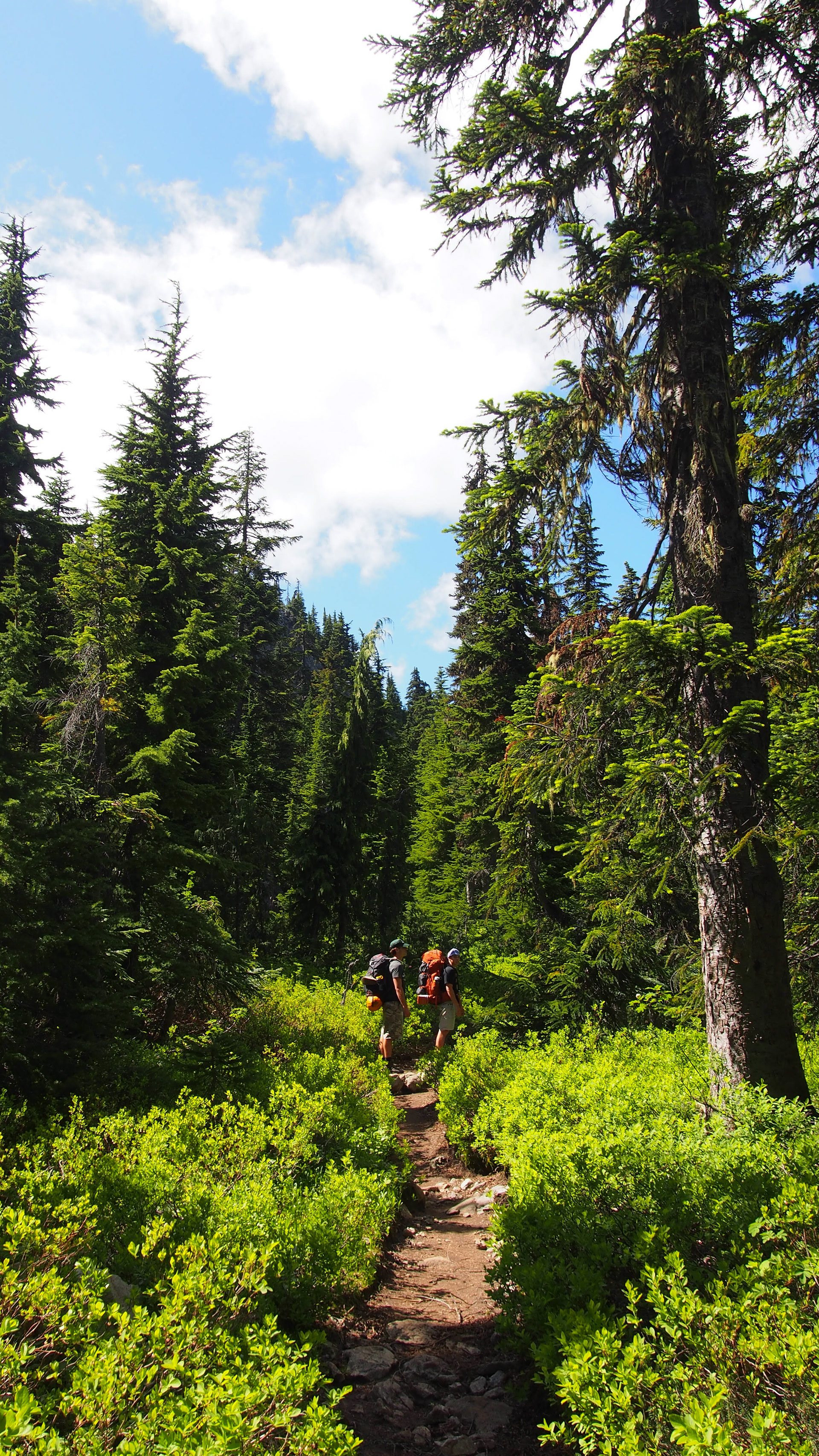 Jade lake, Washington, 2025