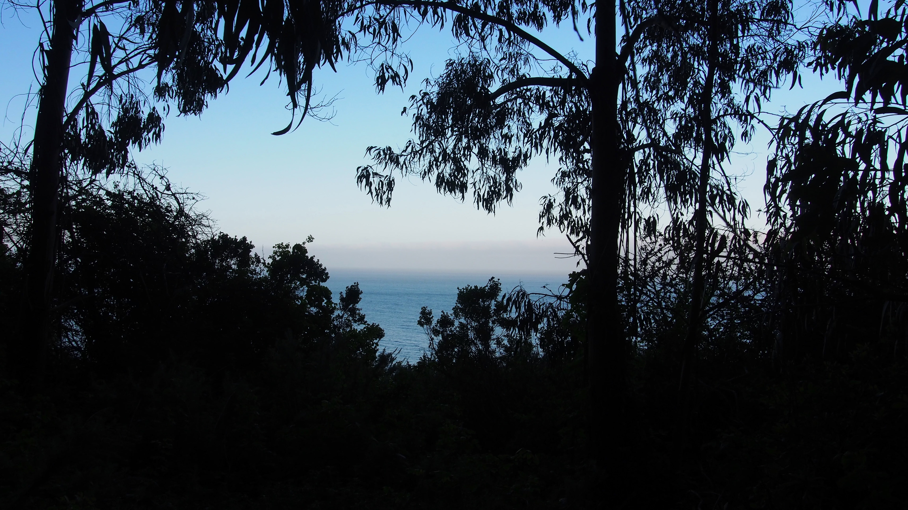 Big Sur, 2025