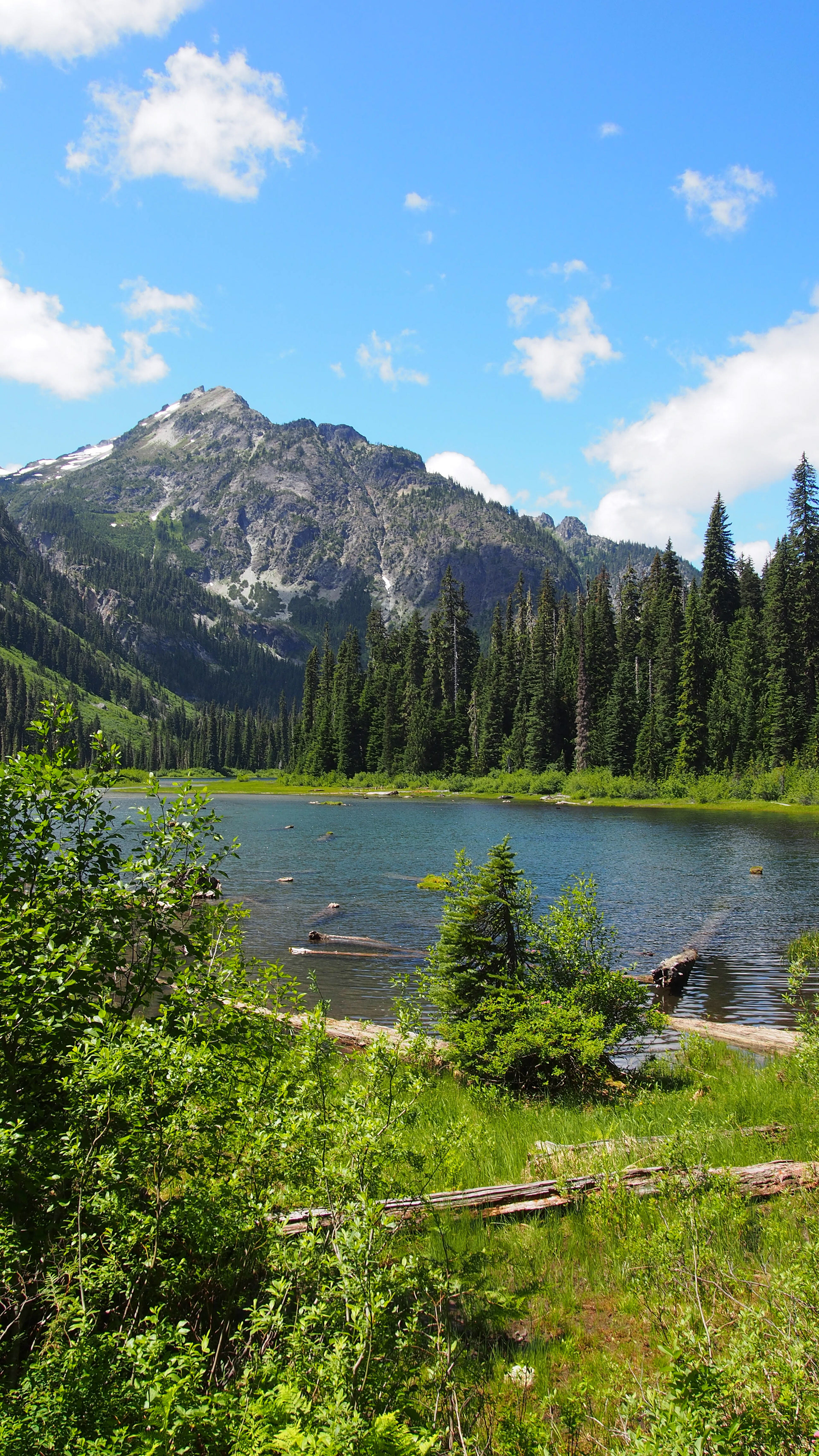 Coldwater Lake Trail, Mount Saint Helens Oregon, 2025 