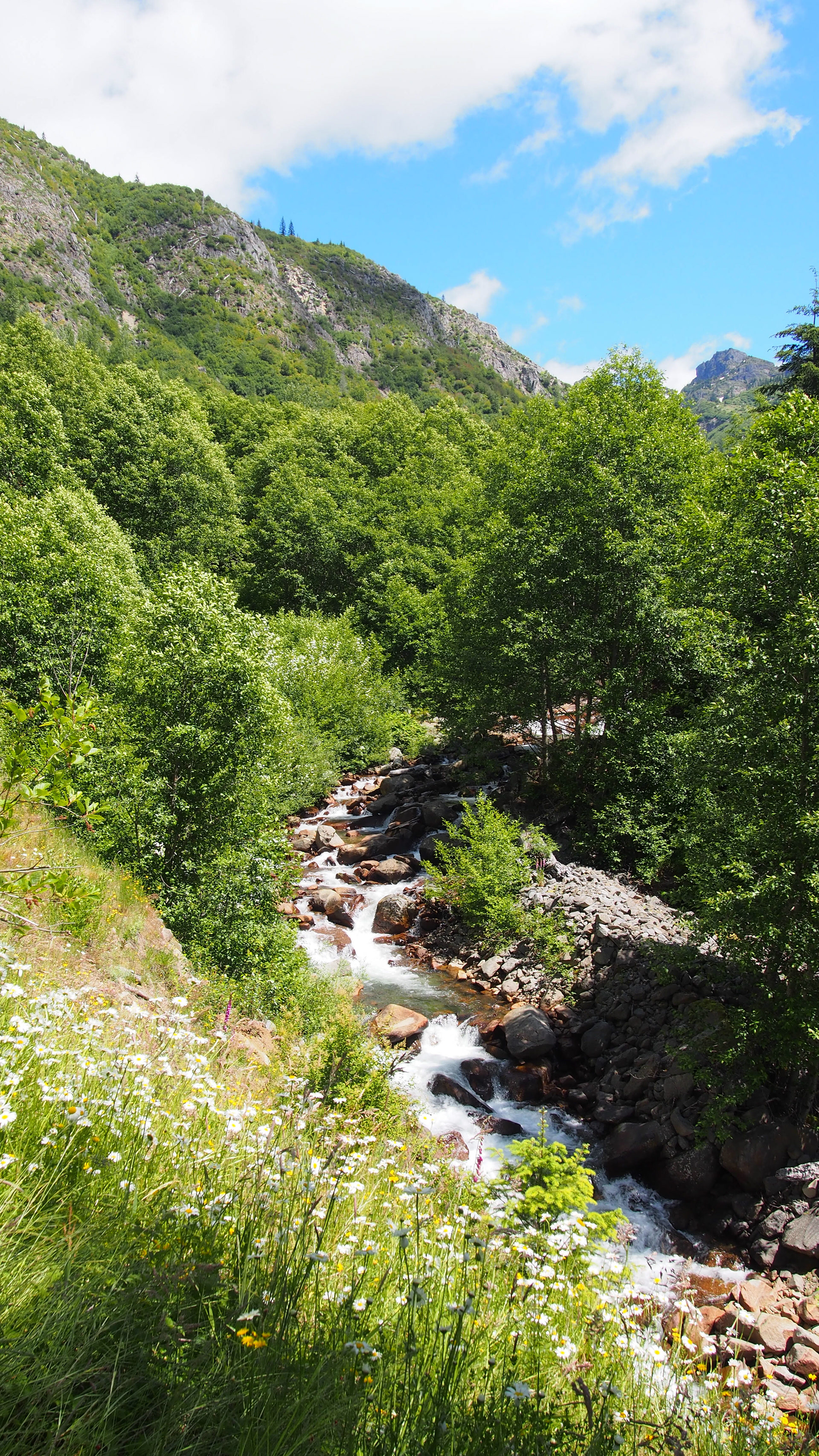 Coldwater Lake Trail, Mount Saint Helens Oregon, 2025 