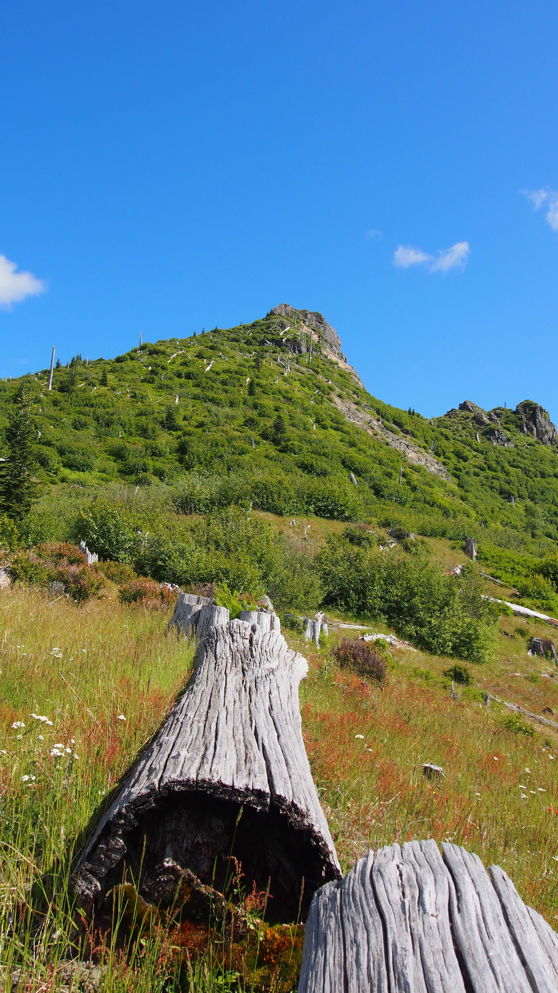 Coldwater Lake Trail, Mount Saint Helens Oregon, 2025 
