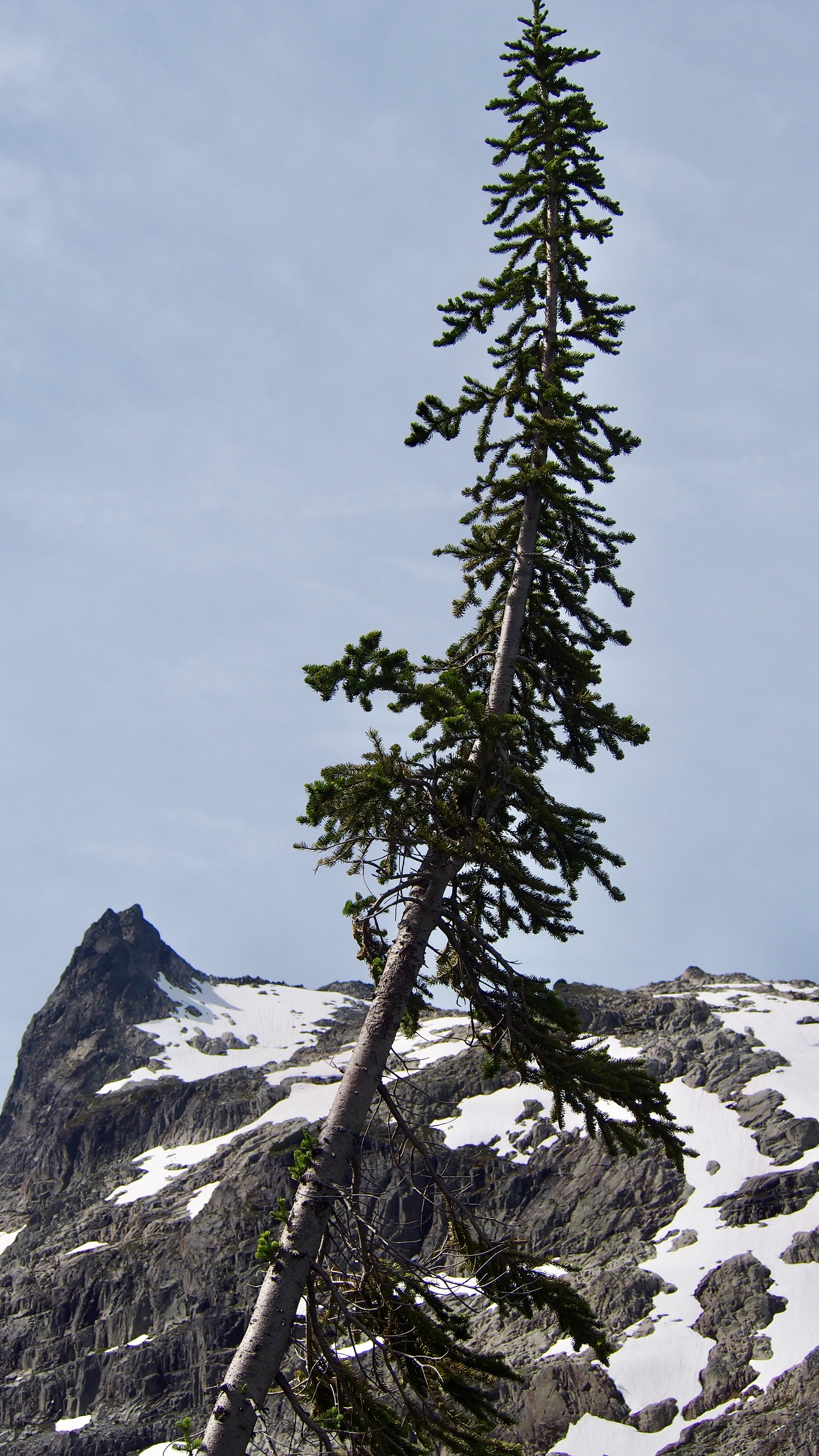 Jade Lake, Washington, 2025