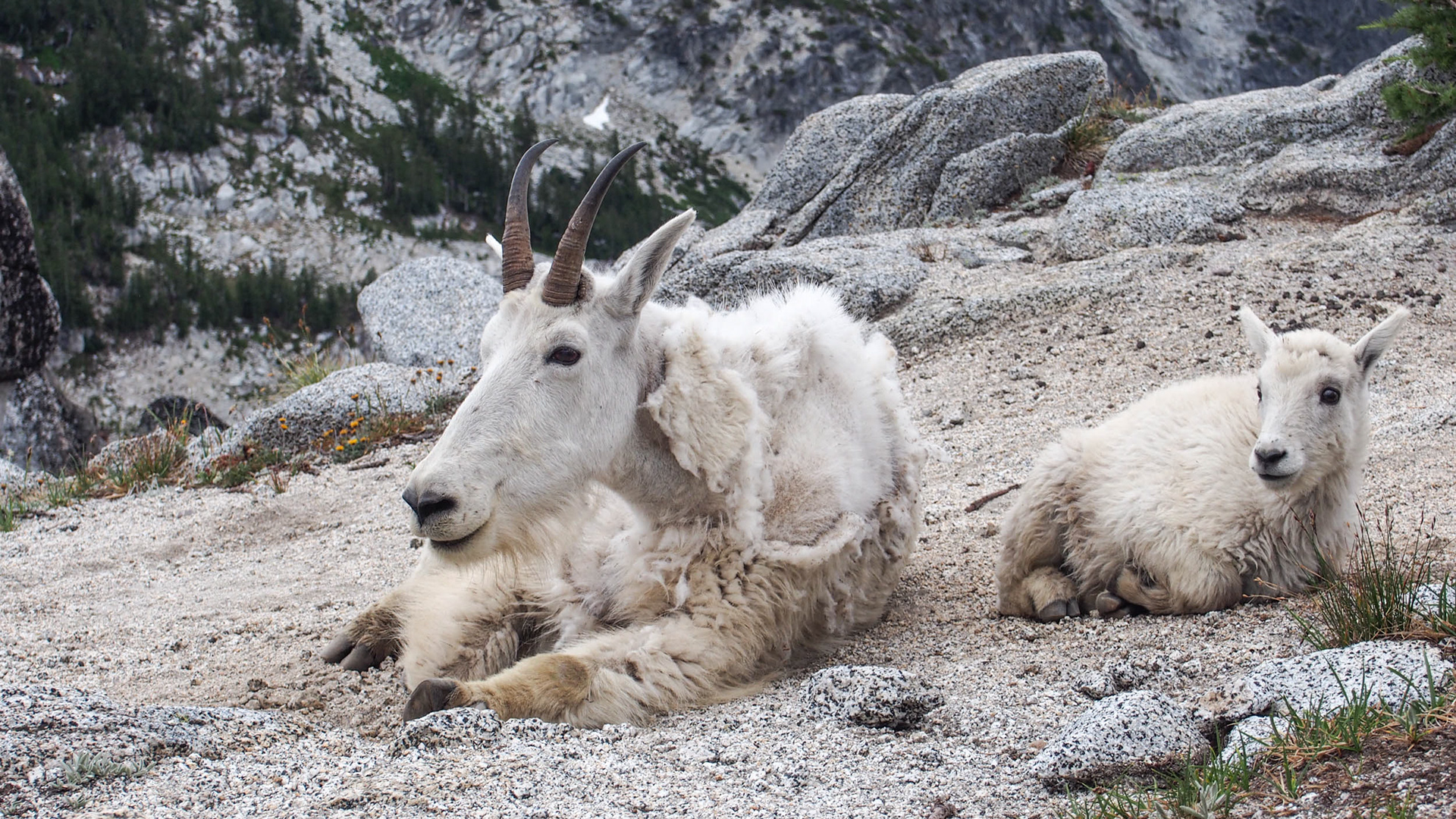 The Enchantments, Washington, 2025