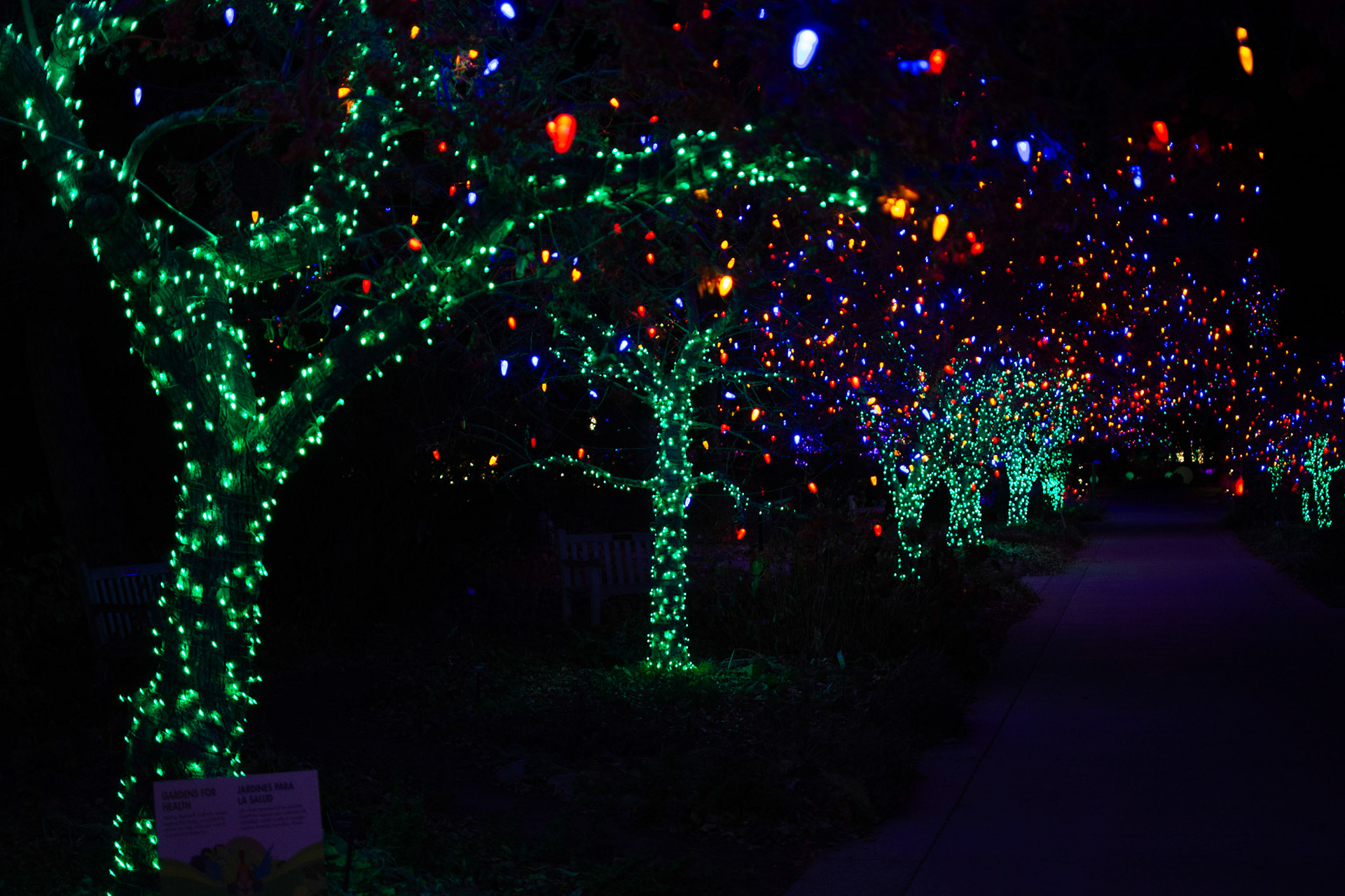 Coordinated contractor install of string lights (trunk & canopy wraps) throughout entire Gardens - 8 week install process around other large institutional commitments