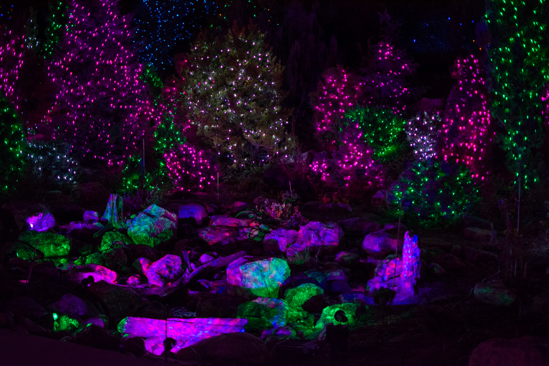 Created new lighting design and implementation for newly renovated, tender garden.