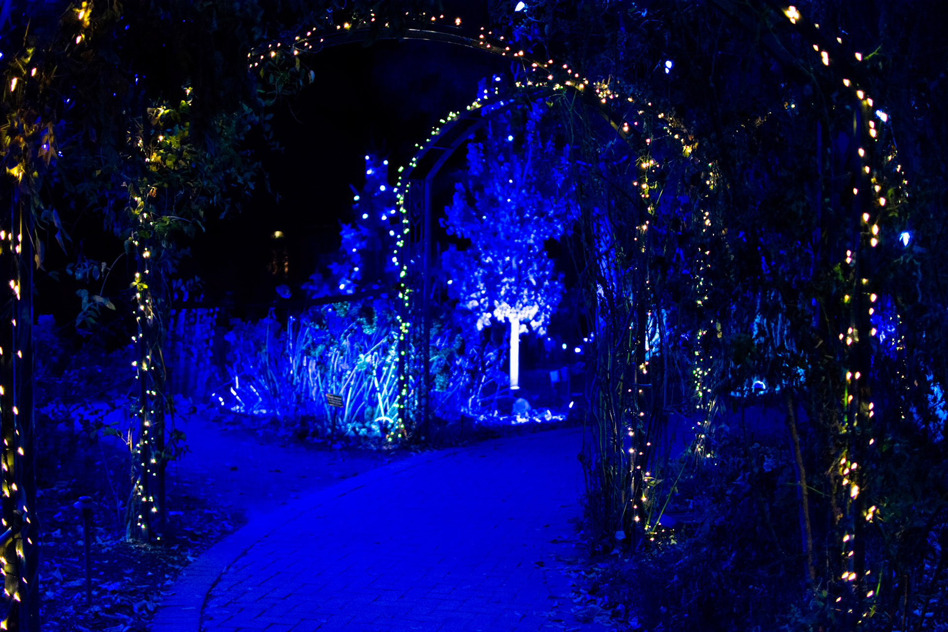 Designed & implemented reimagined arch-lighting concept