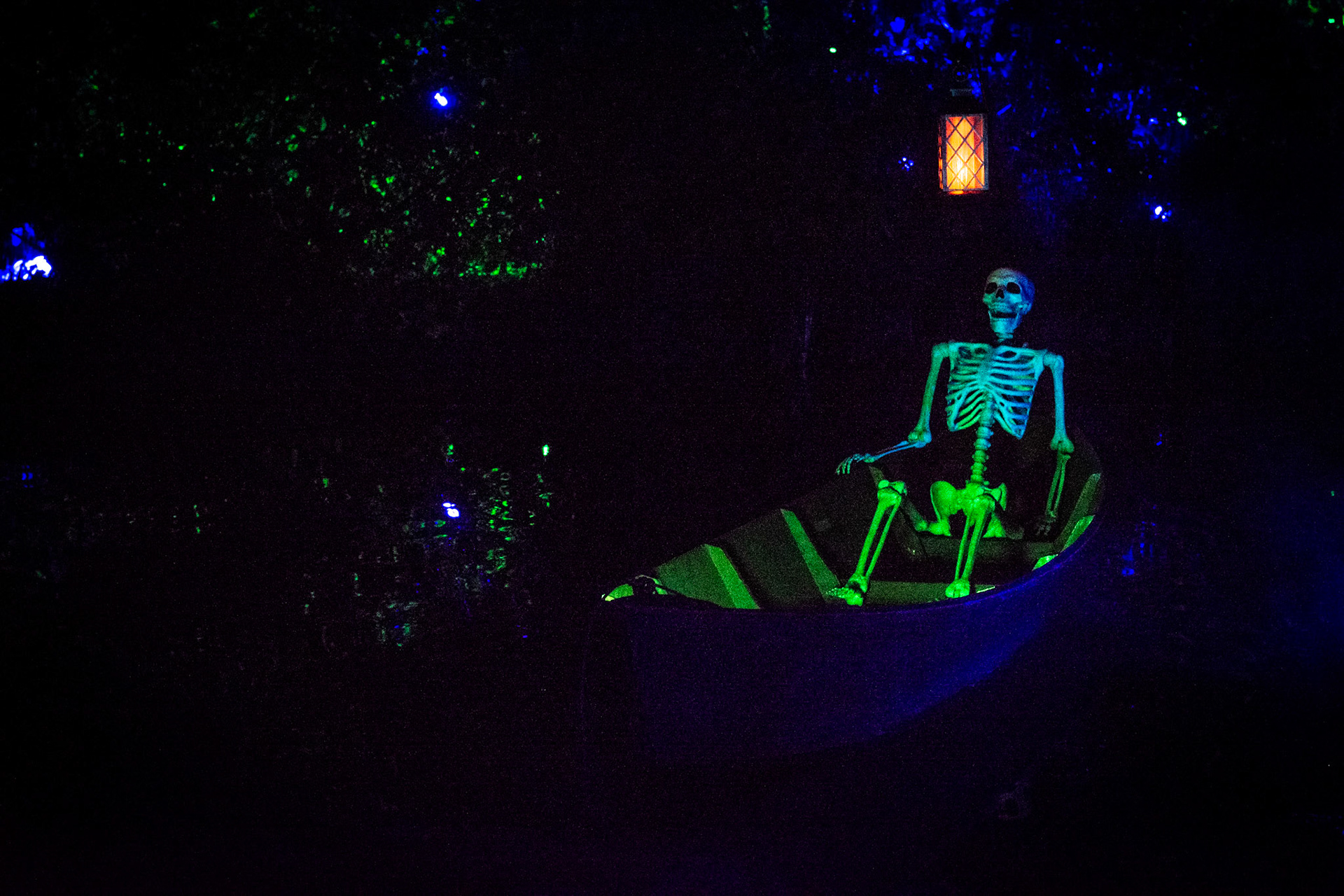Designed & produced new "Haunted Bayou" concept in previously inactive section of the Gardens
