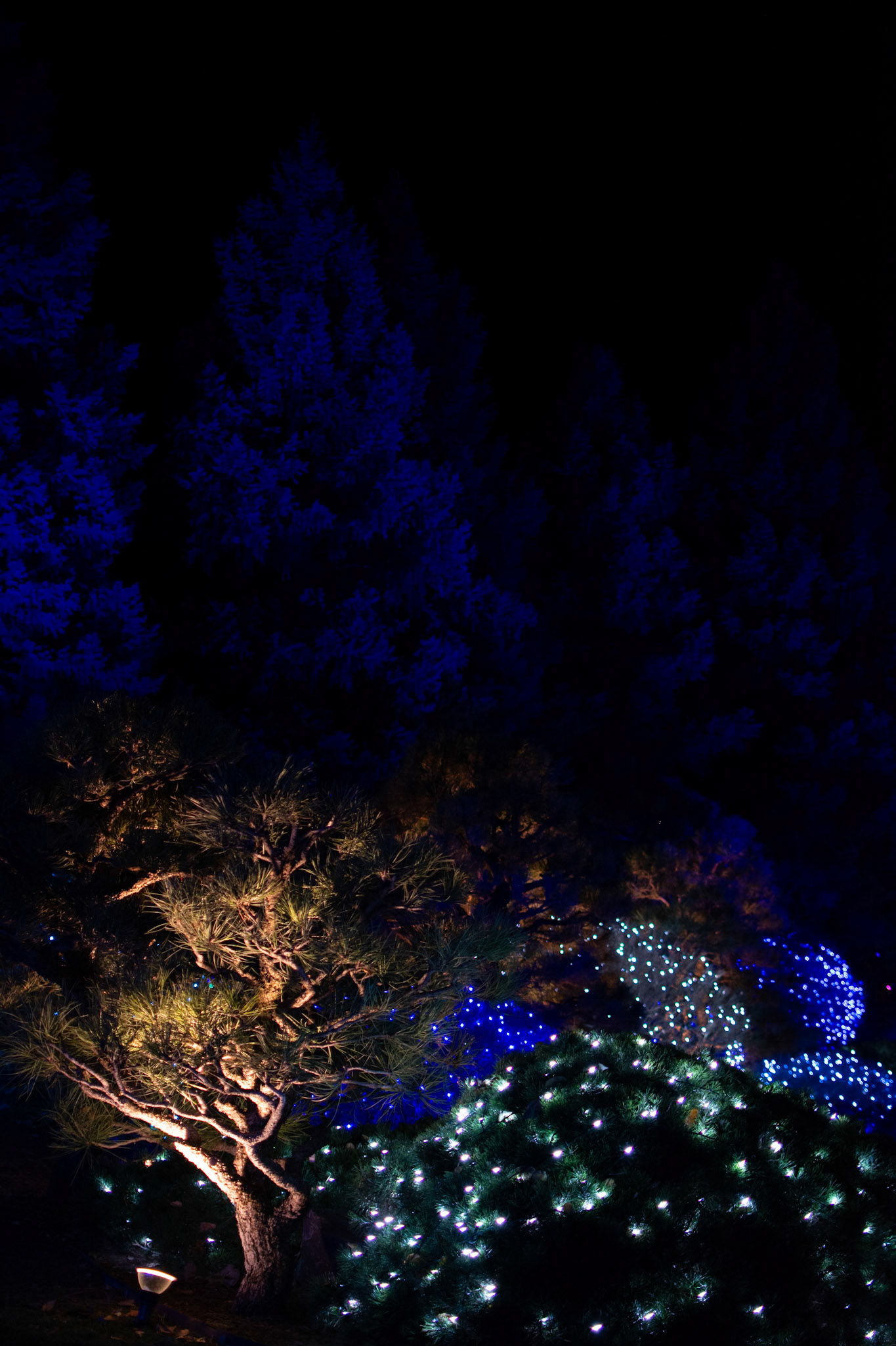 Quoted & implemented uplighting