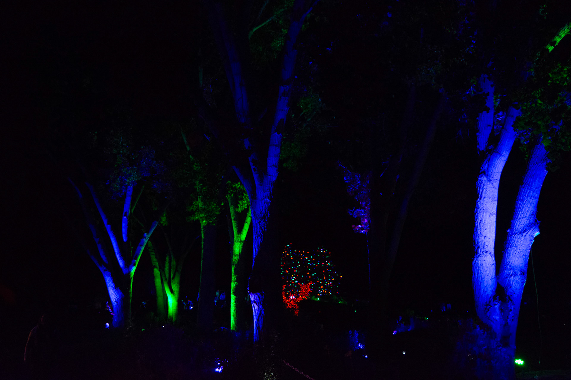 Implemented new lighting design & product in signature location
