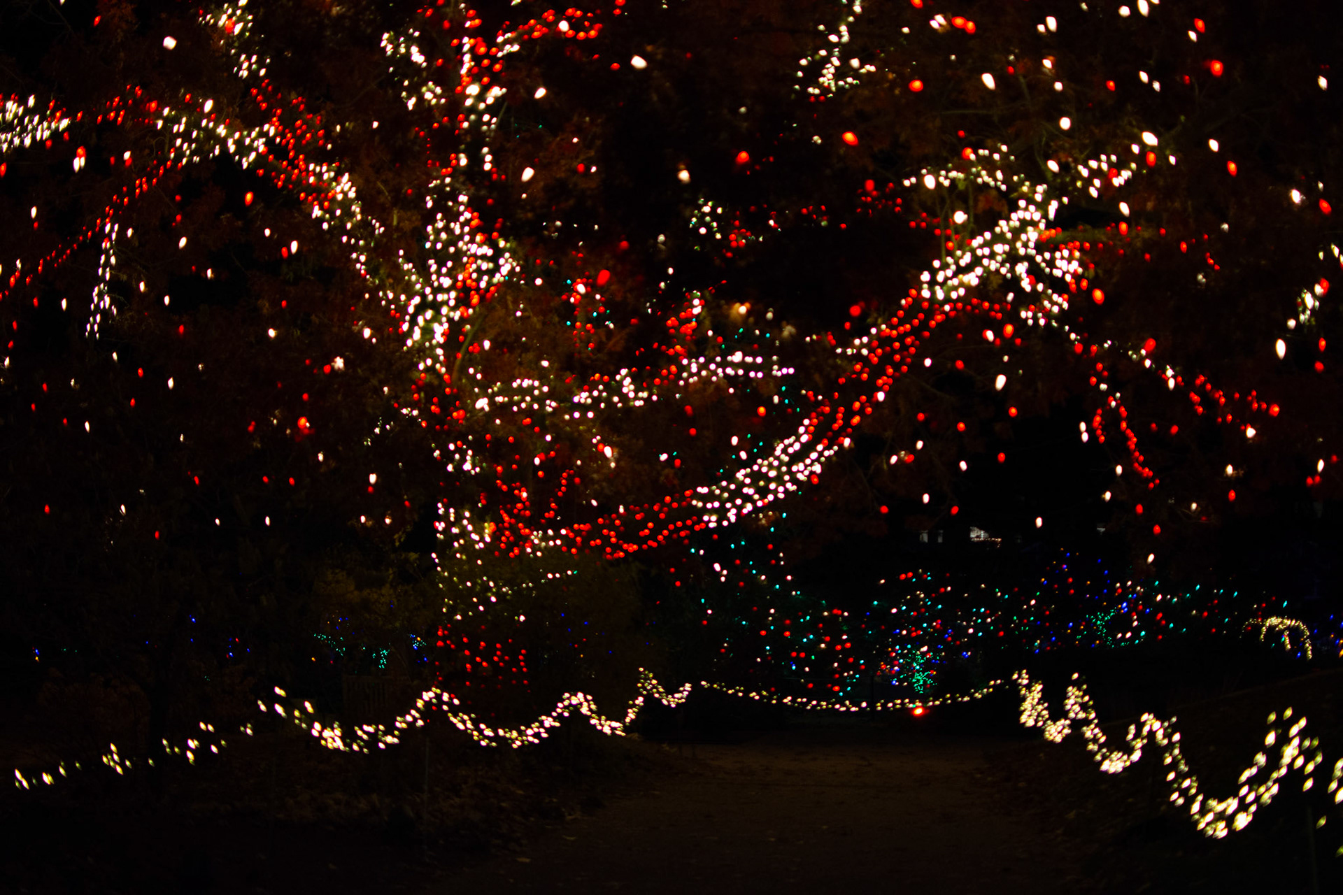 Worked with contractor to implement new signature-tree concept & design; reimagined & implemented illuminated path closures