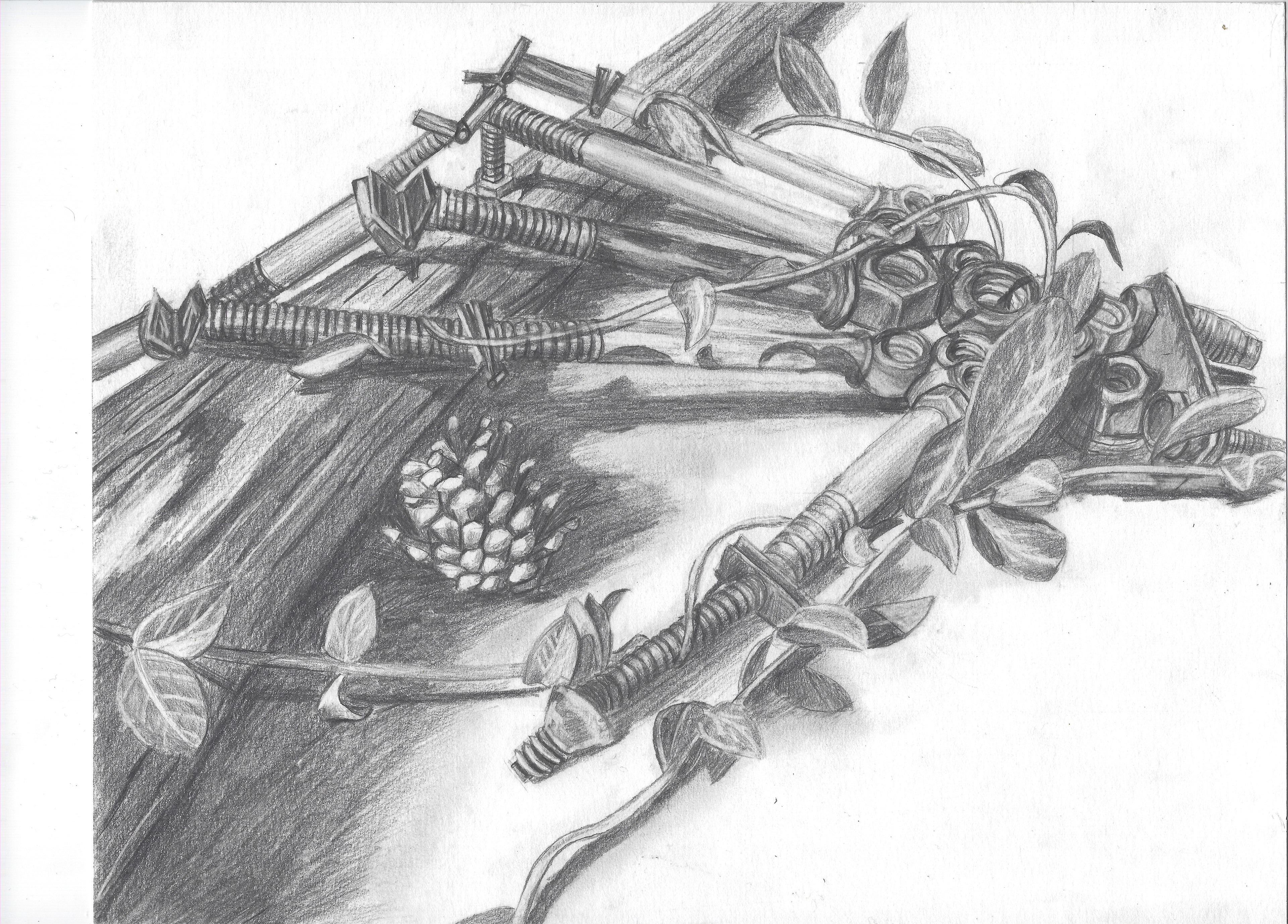 Graphite Still life
