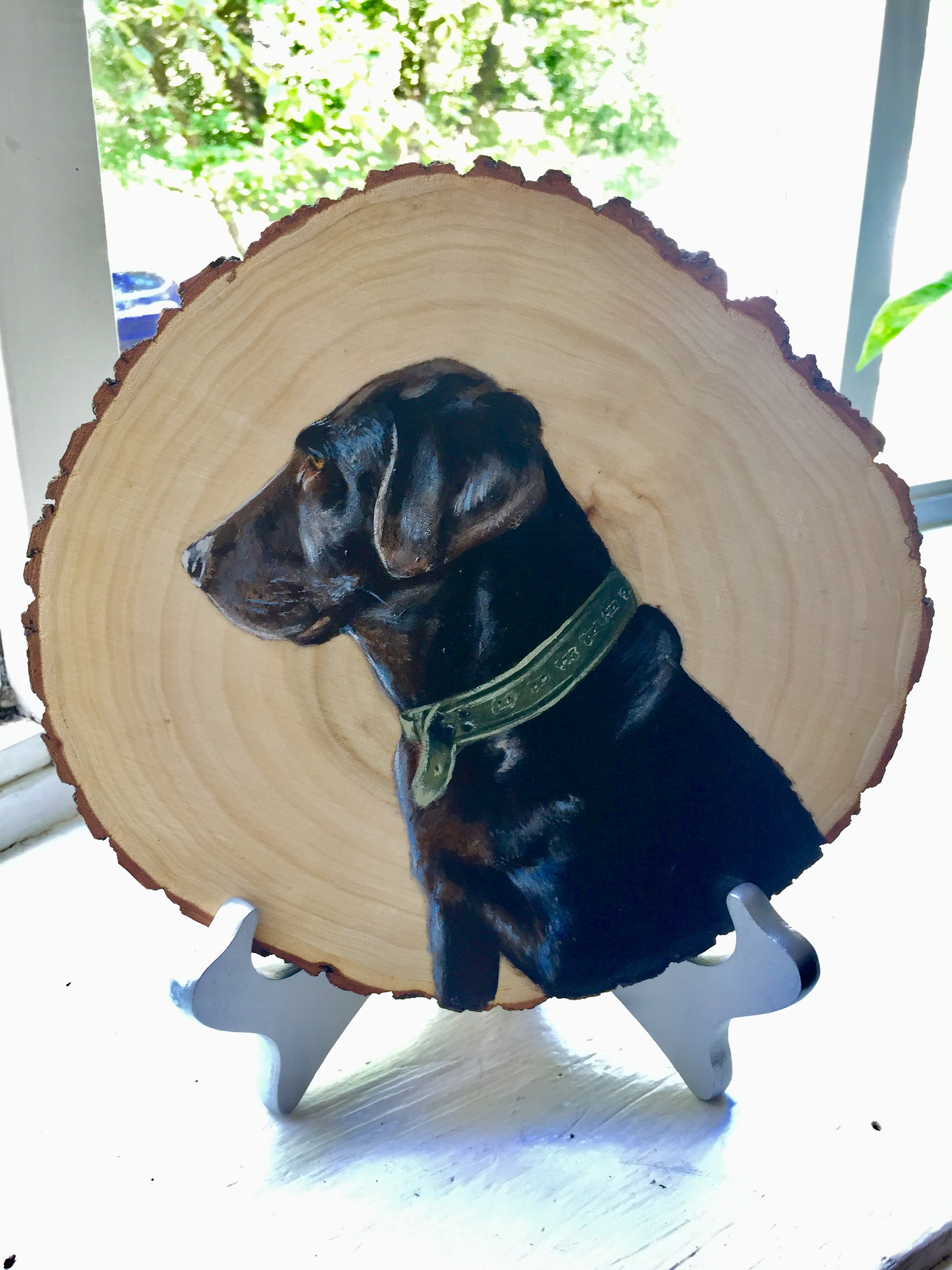 Dog Portrait