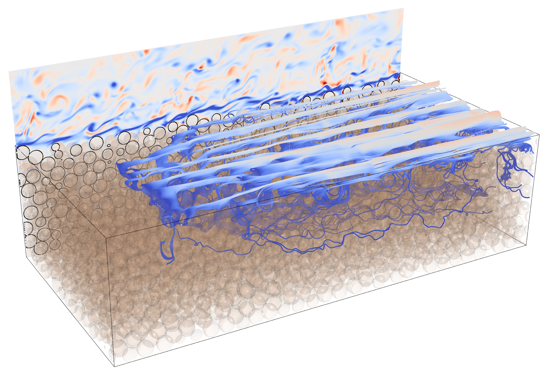 Pore-resolved simulation