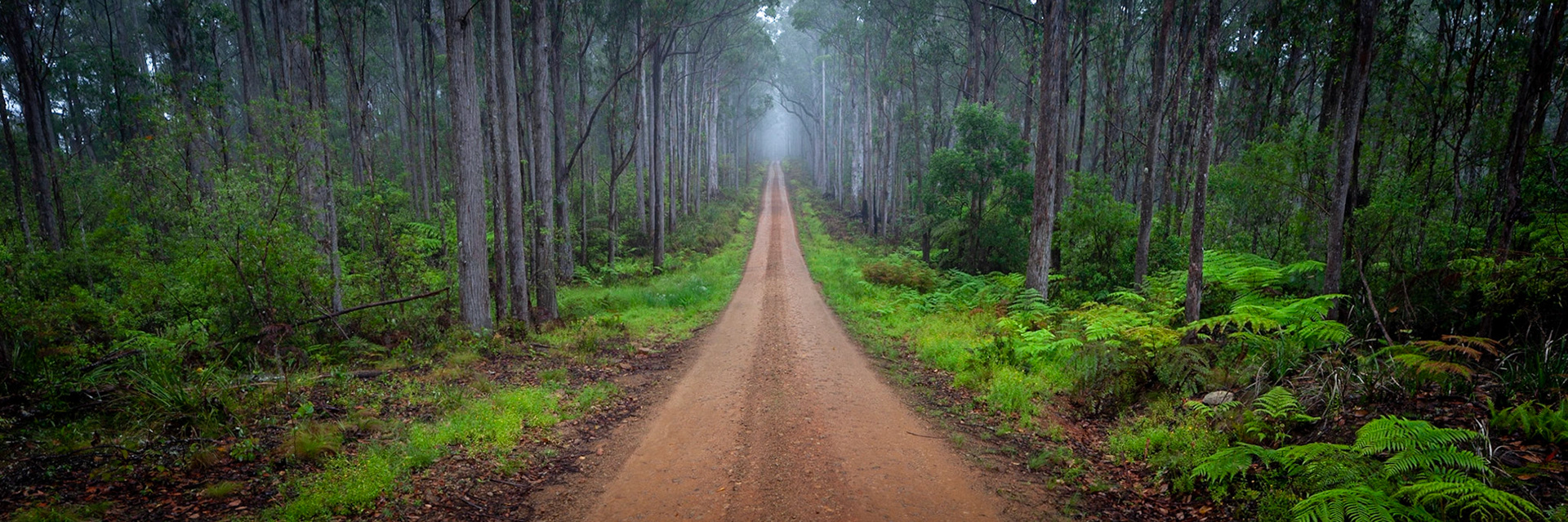Styx River State Forest