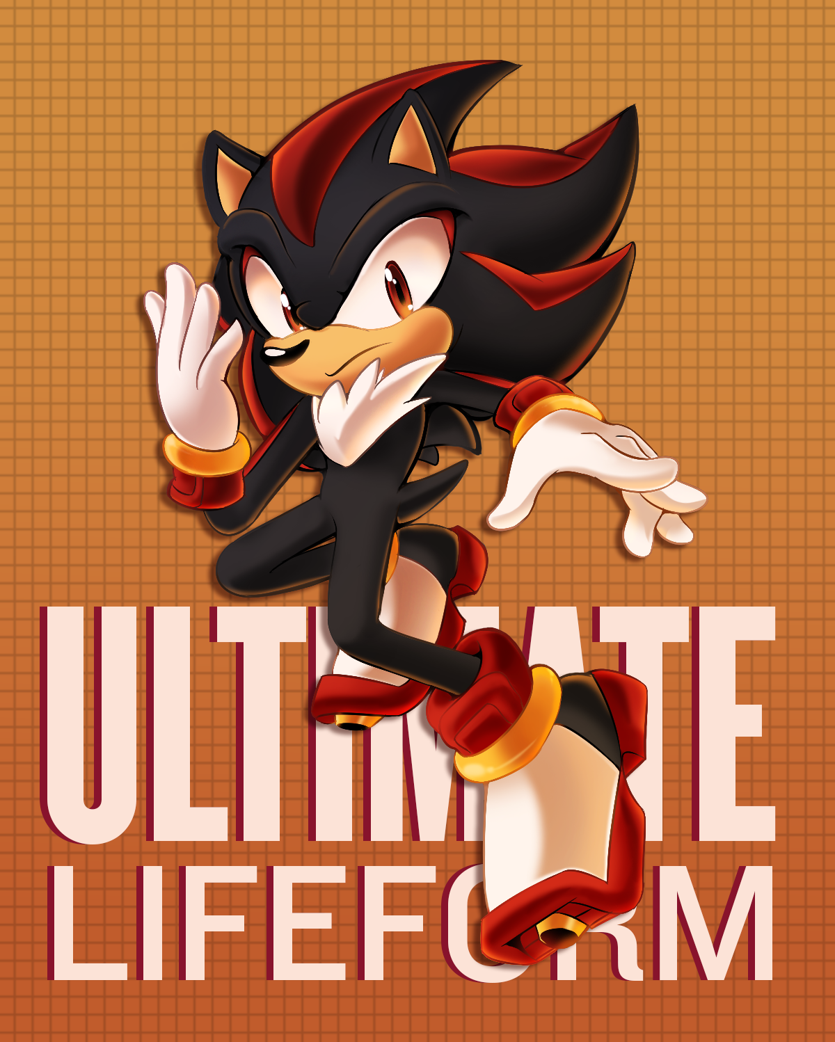 Shadow the hedgehog