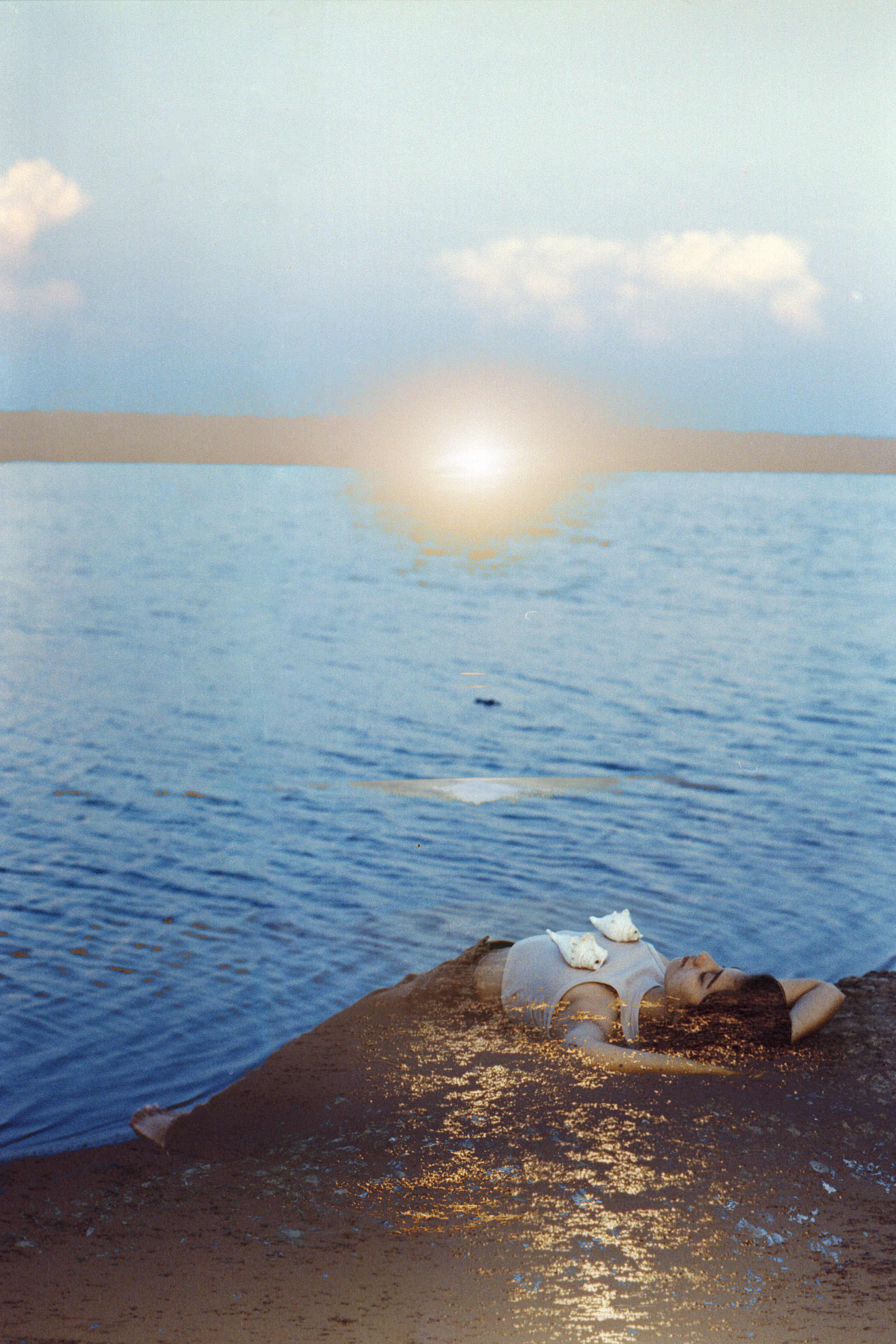 Sea-Salt Shells, 2025