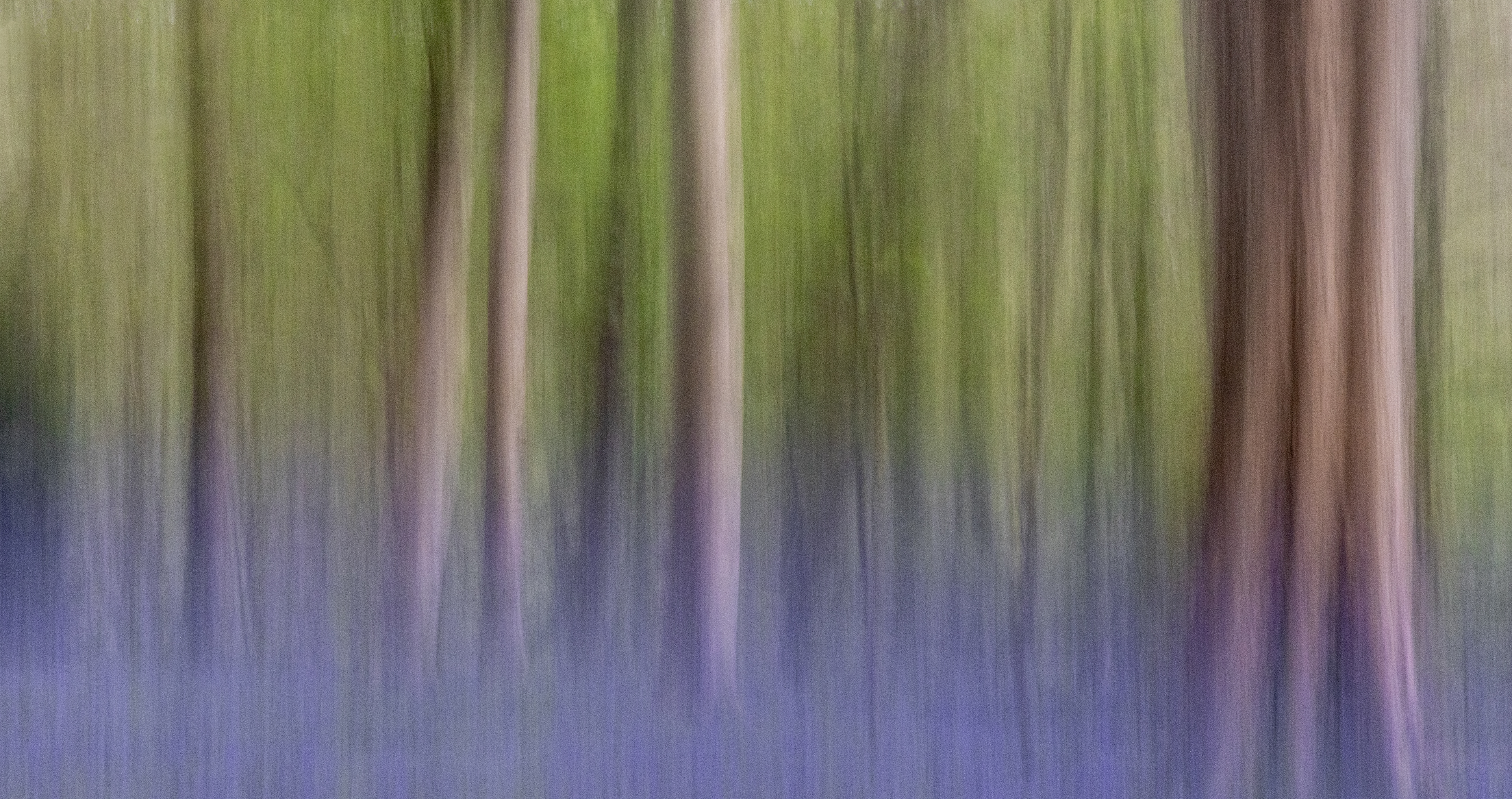 Renishaw Hall, Sheffield 