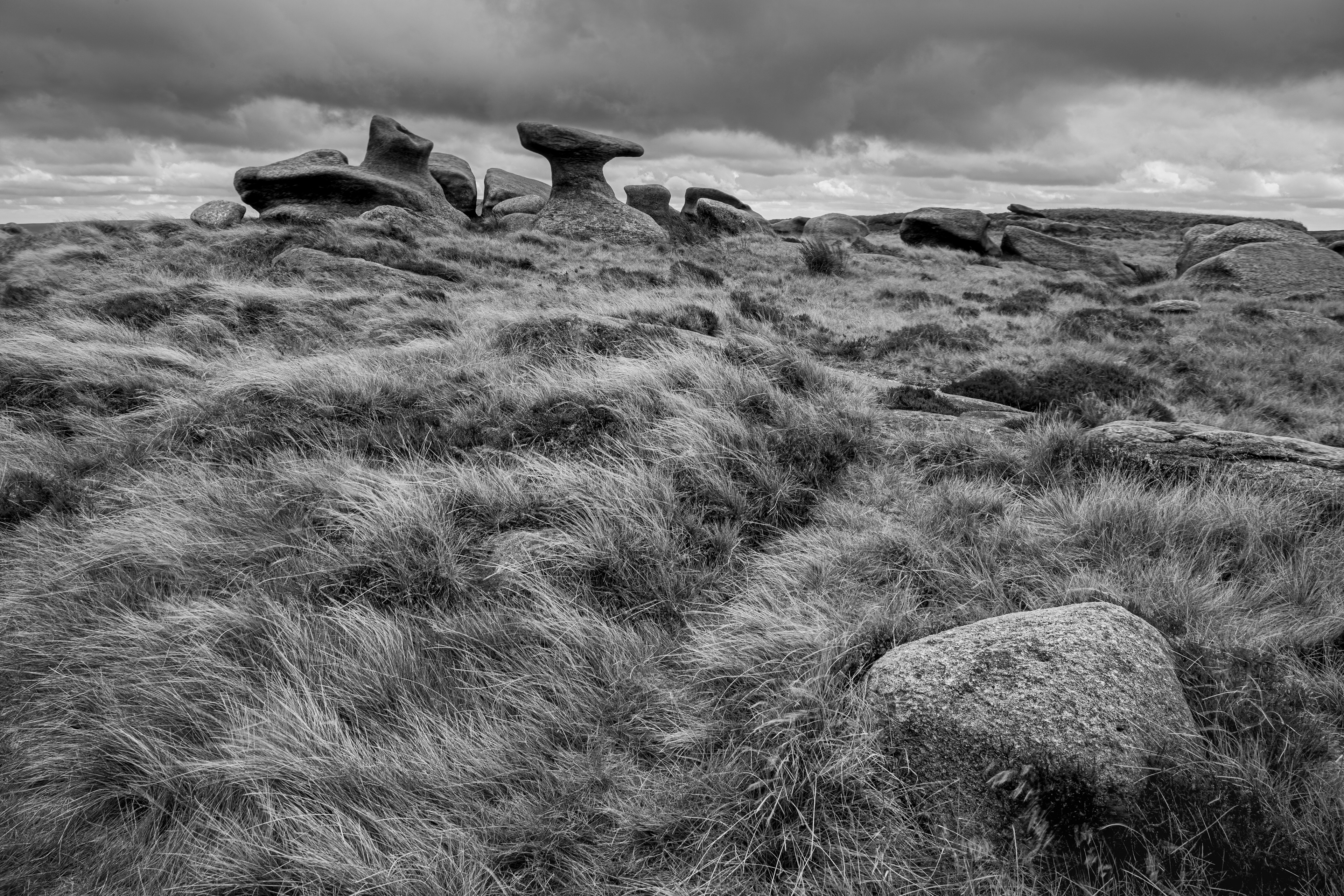 Bleaklow Stones, Peak District