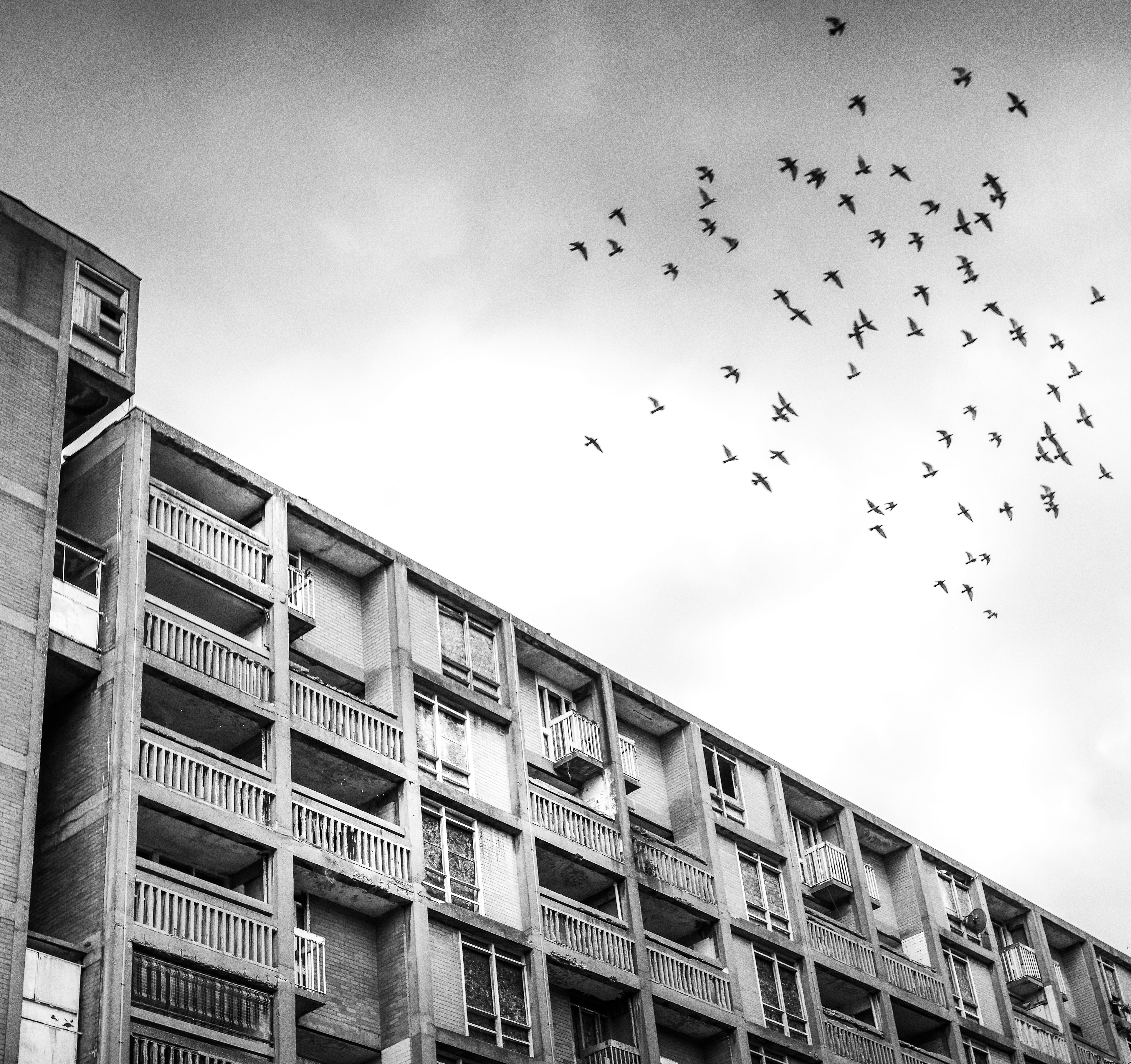 Park Hill, Sheffield