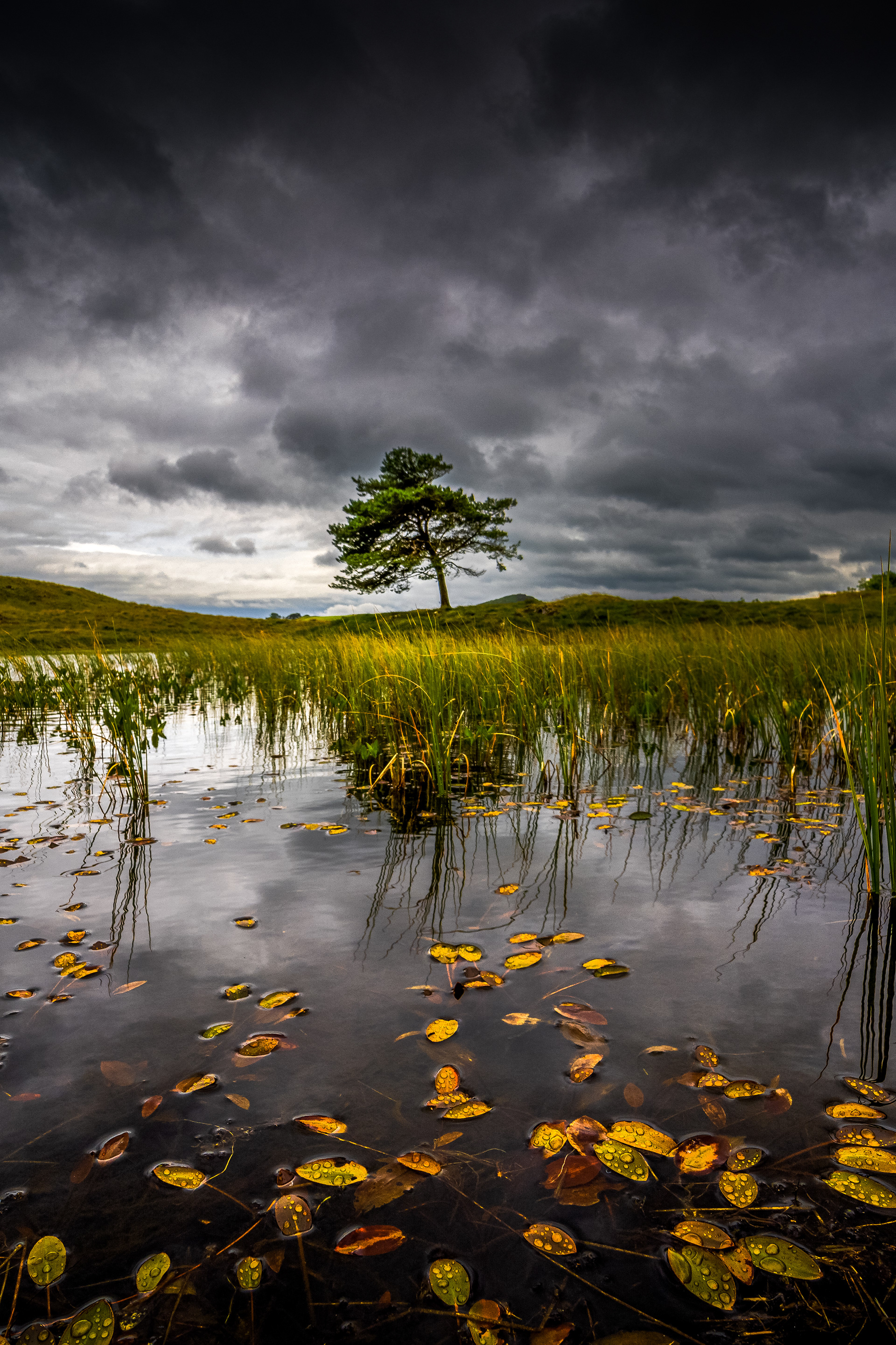 Kelly Hall Tarn, Lake District