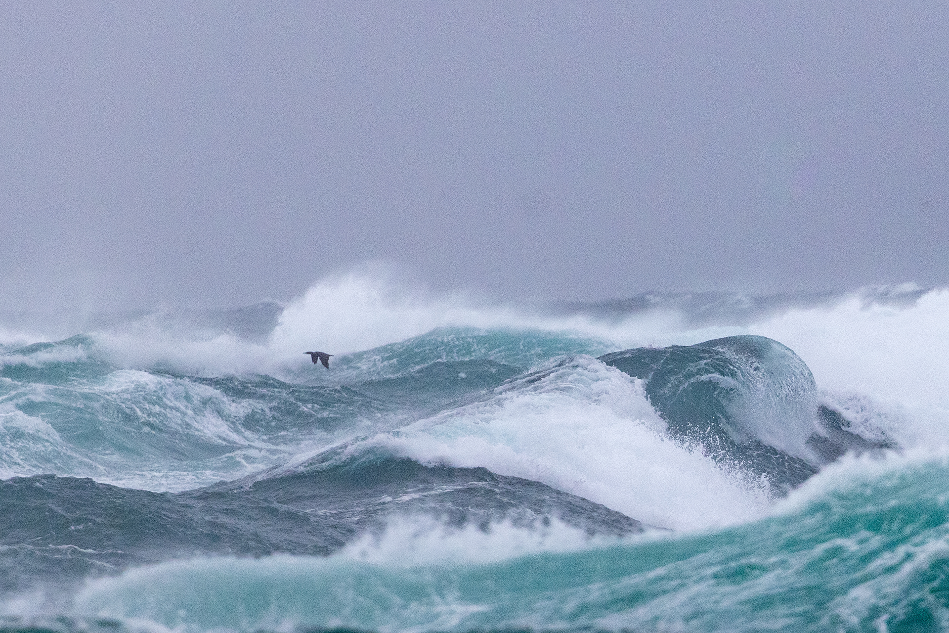 Alone in a Cruel Sea - Iceland