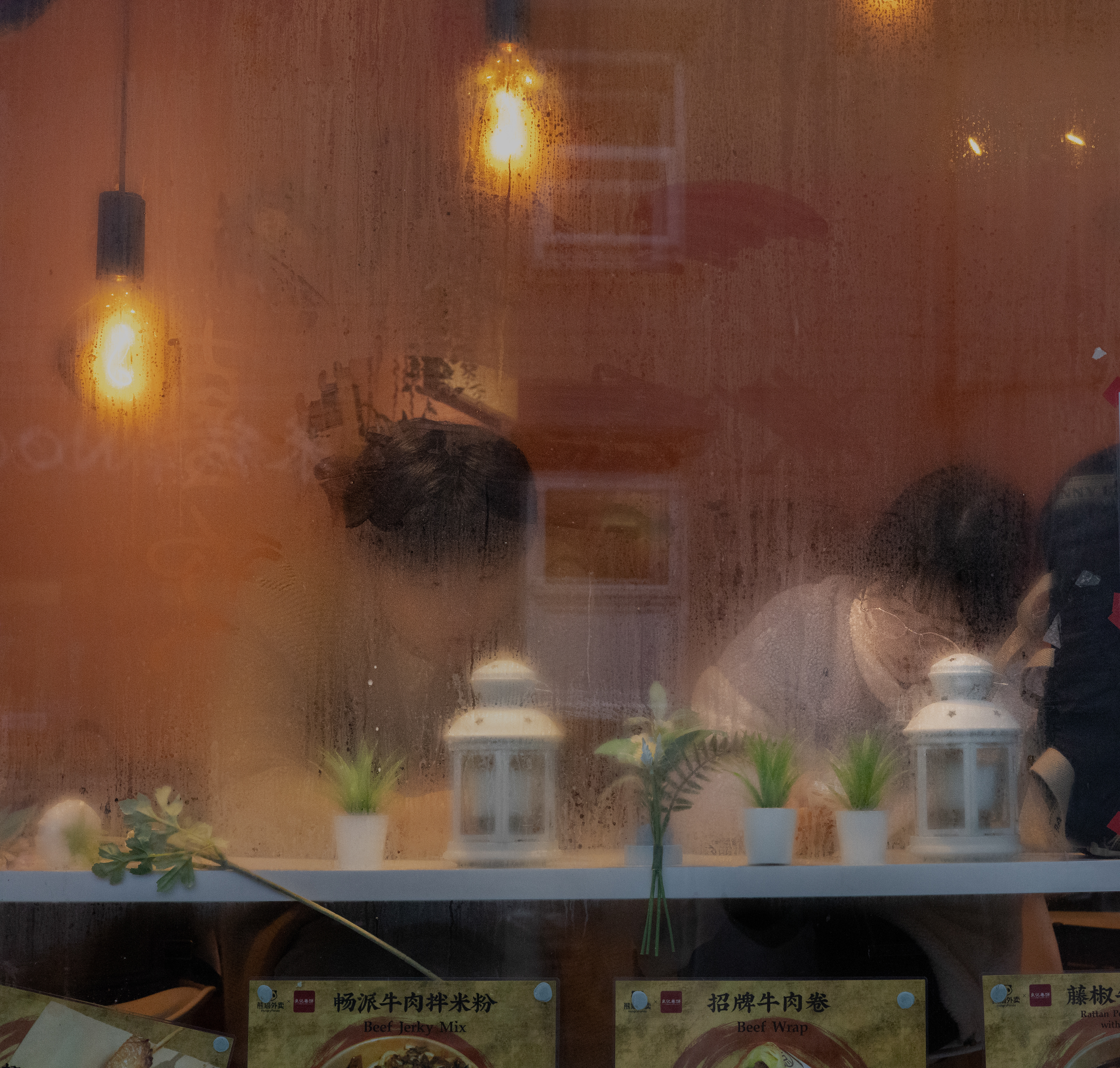 Condensation, Sheffield